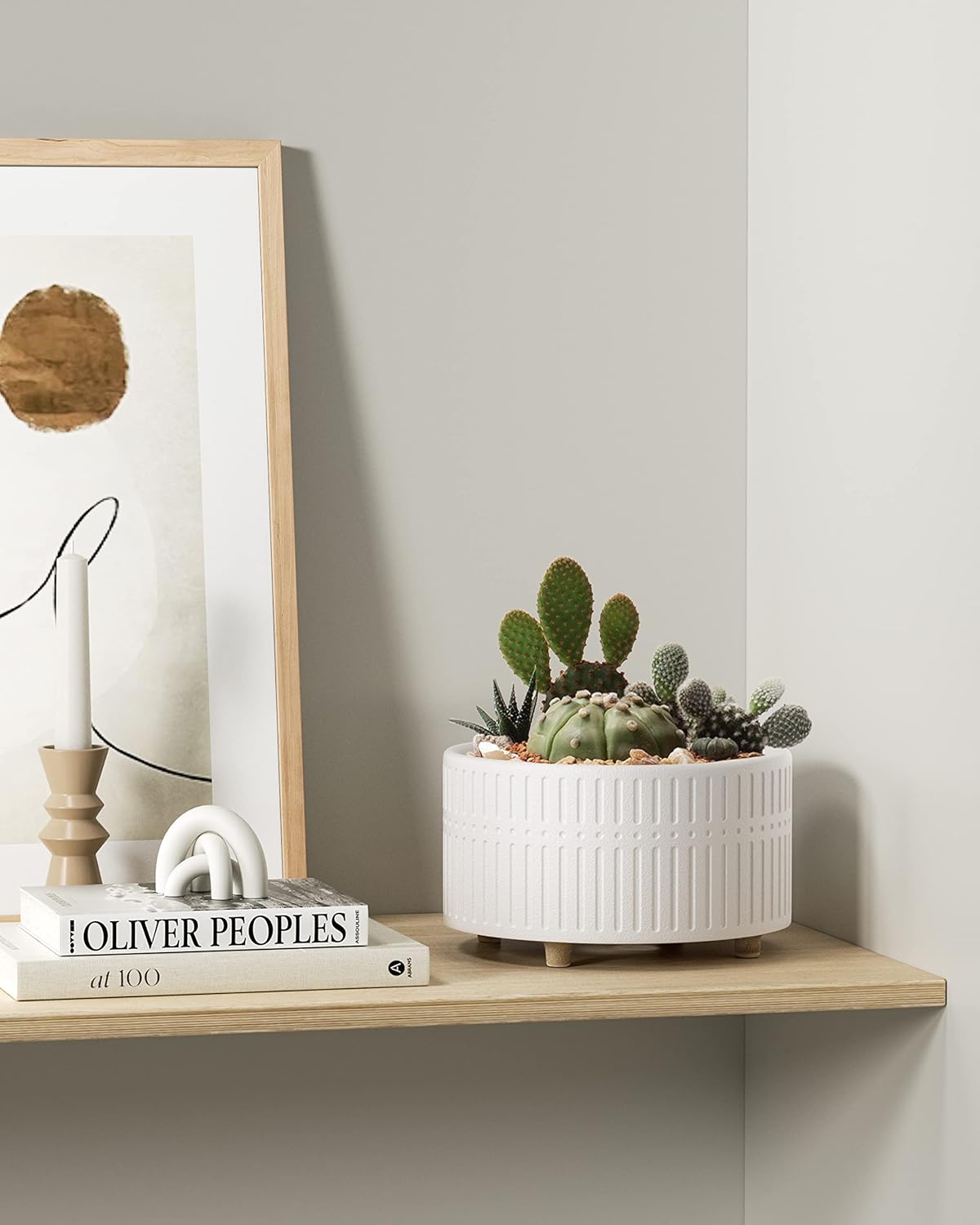 LE TAUCI Succulent Pots, 6.5+8 Inch Ceramic Indoor Plant Pot with Drainage Hole, Shallow Round Succulent Planters, Set of 2, Matte White