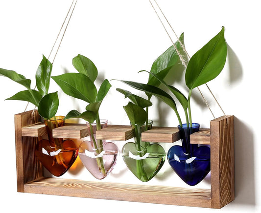 Plant Propagation Stations Heart Plant Terrarium Kit Gift for Women Plant Lover Glass Vases