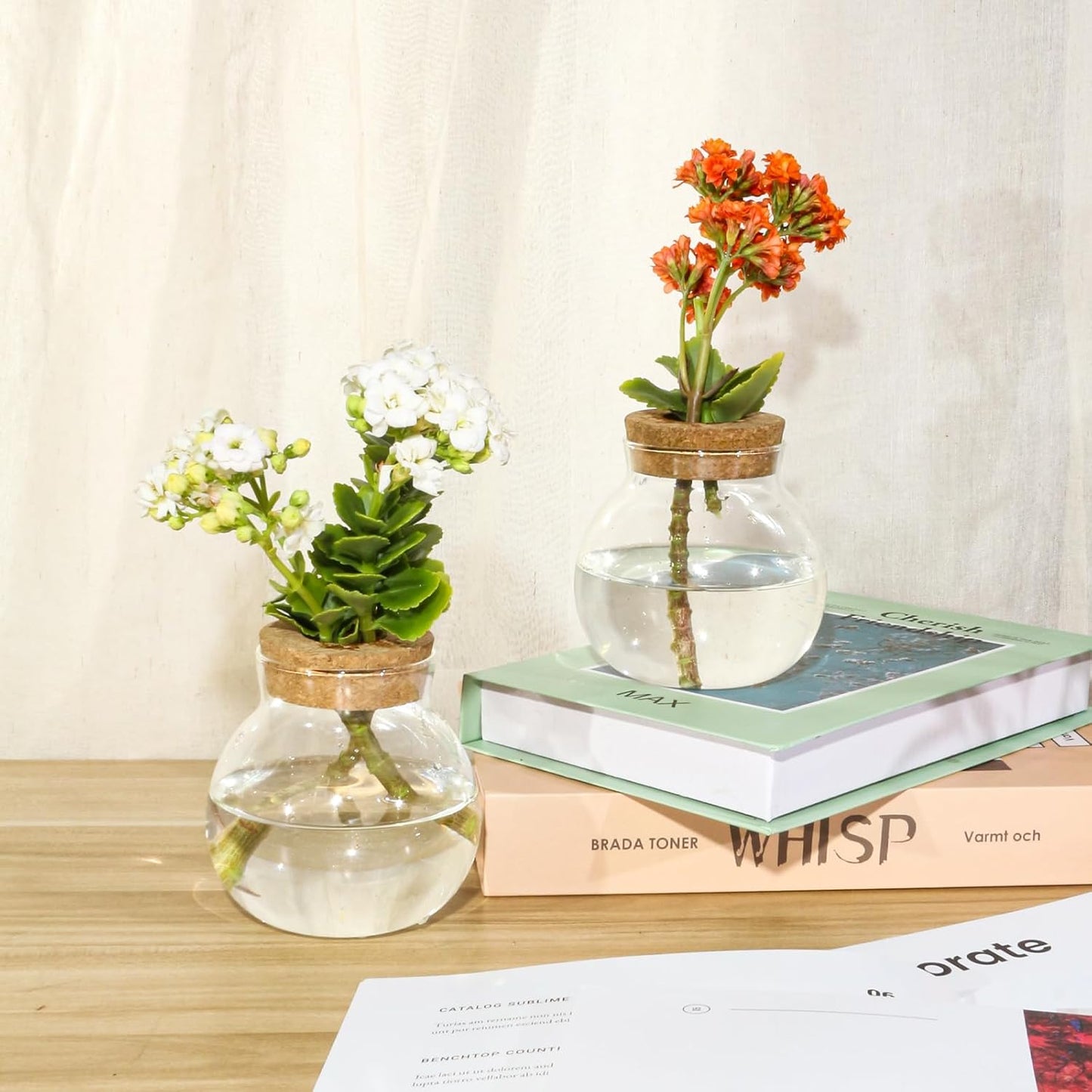 Plant Propagation Station,Hydroponic Terrarium Vase,Desktop Glass Planter Station,for Houses,Garden Decorations,ropagating Hydroponic Plants,Centerpiece Office,Home Garden Decor (2)