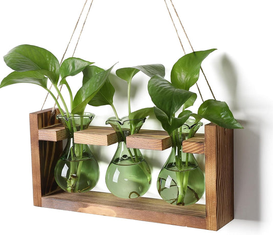Plant Propagation Station Plant Terrarium Unique Birthday Gifts for Women Plant Lovers Home Office Decor Planter with Wooden Stand - 3 Bulb Glass Vase