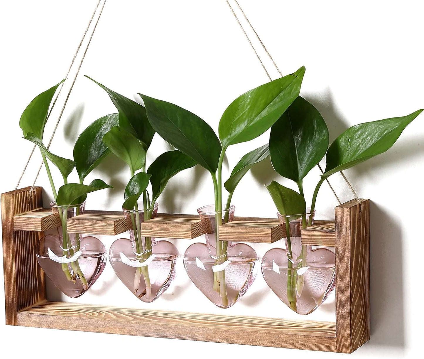 Plant Propagation Stations Heart Plant Terrarium Kit Gift for Women Plant Lover Glass Vases