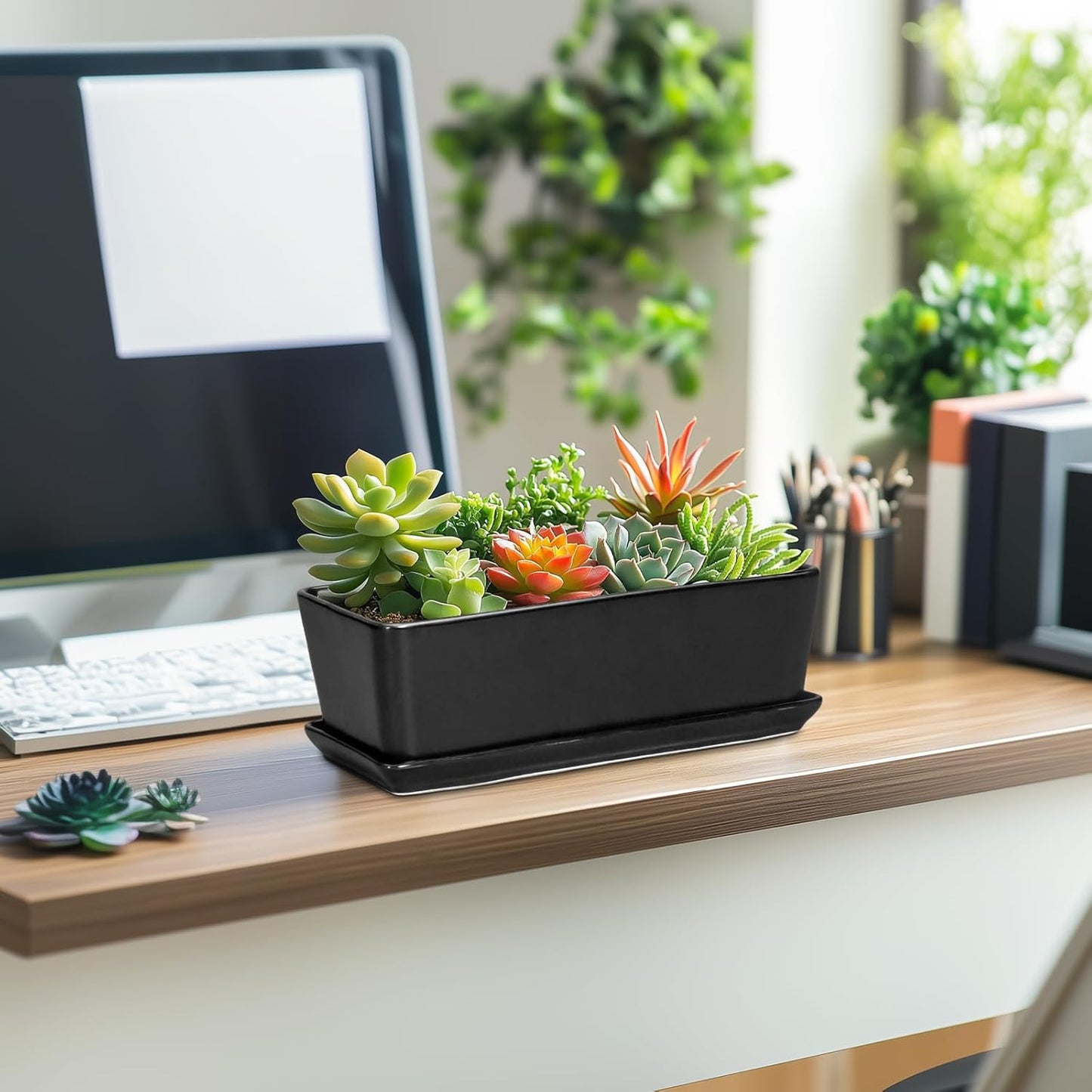 SQOWL Rectangle Planter - 10 Inch Ceramic Plant Pots with Drainage Hole and Saucer, Rectangular Succulent Planters for Indoor Plants, Flower Cactus Herb Pots Outdoor, Room Decor, Garden Gifts, Black