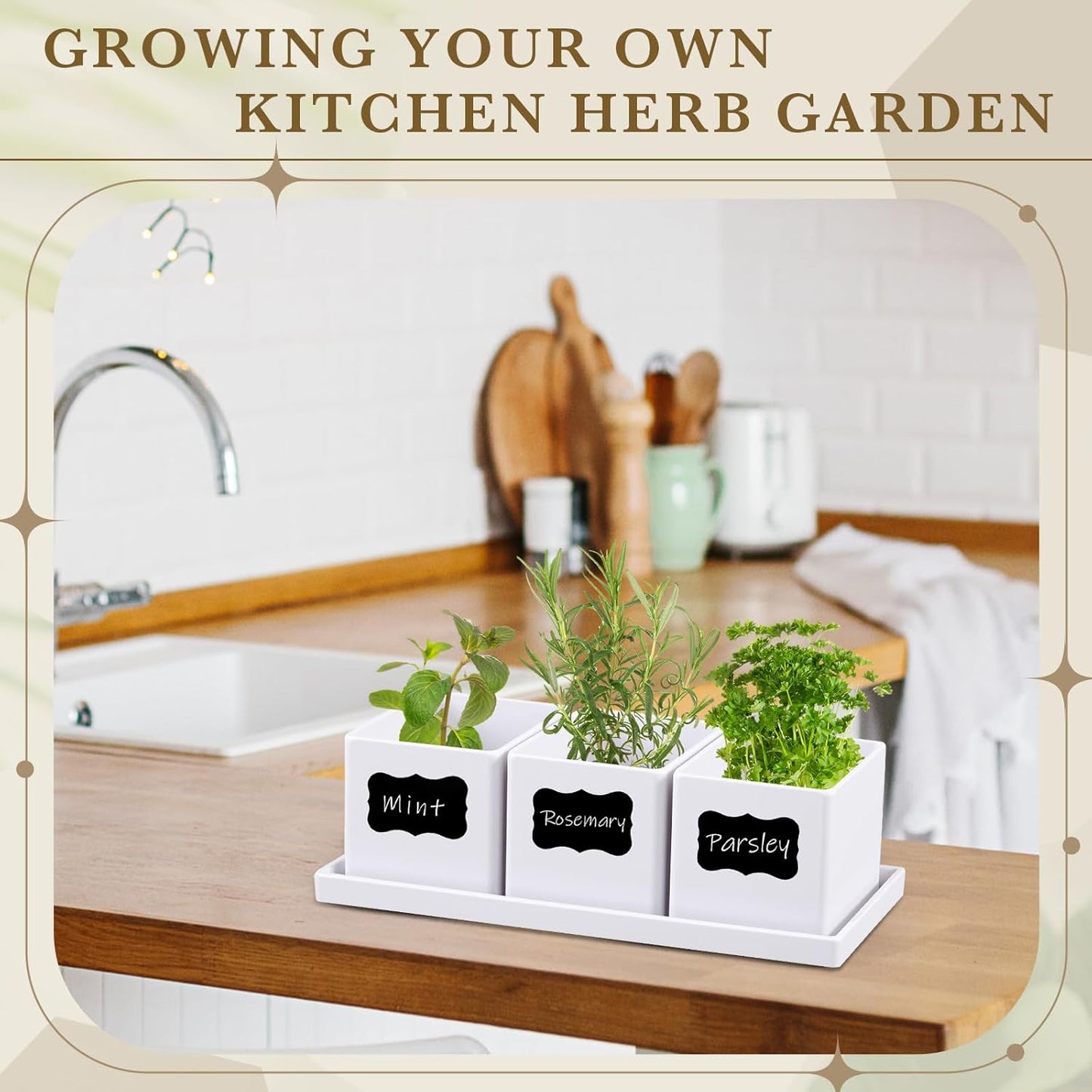 6 Pcs Herb Garden Planter Set Herb Garden Kit Indoor Plastic Plant Pots with Drainage and Saucer Succulent Cactus Vegetable Window Boxes Planter for Windowsill Indoor Outdoor Pots