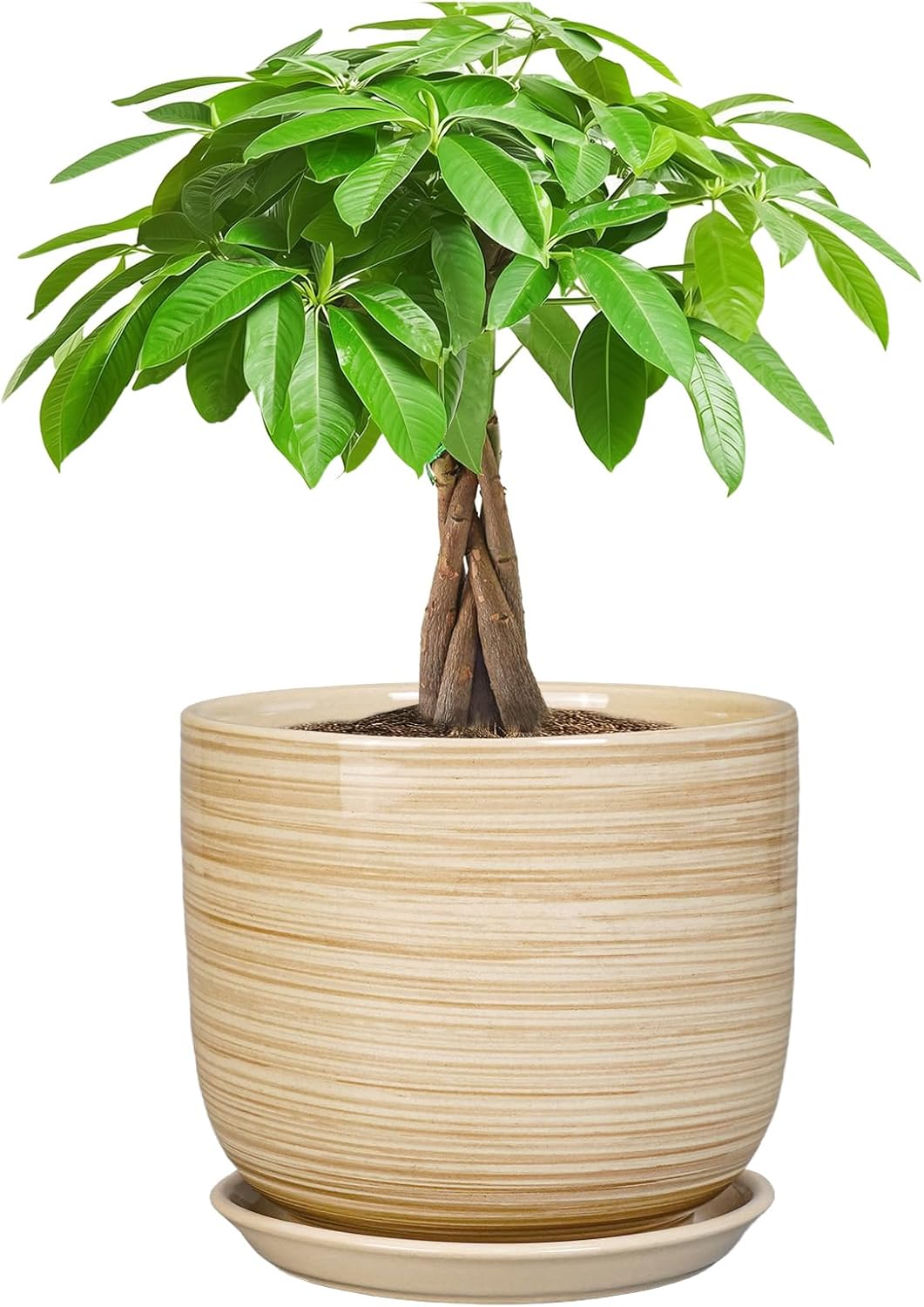 Ceramic Planter for Indoor Plants 7 Inch - Cylinder Modern Indoor Plant Pot with Drainage Hole and Saucer, Home Patio Office Bathroom Decor, Yellow