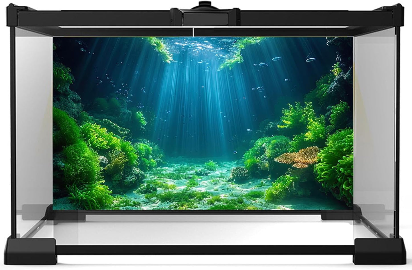 Aquarium Background Aquatic Plants Soft Algae Terrarium Backdrop Underwater World Fish Rock with Moss Sunlight Rays Fish Tank Background Aquarium Wallpaper Poster Decor Vinyl 30x18in