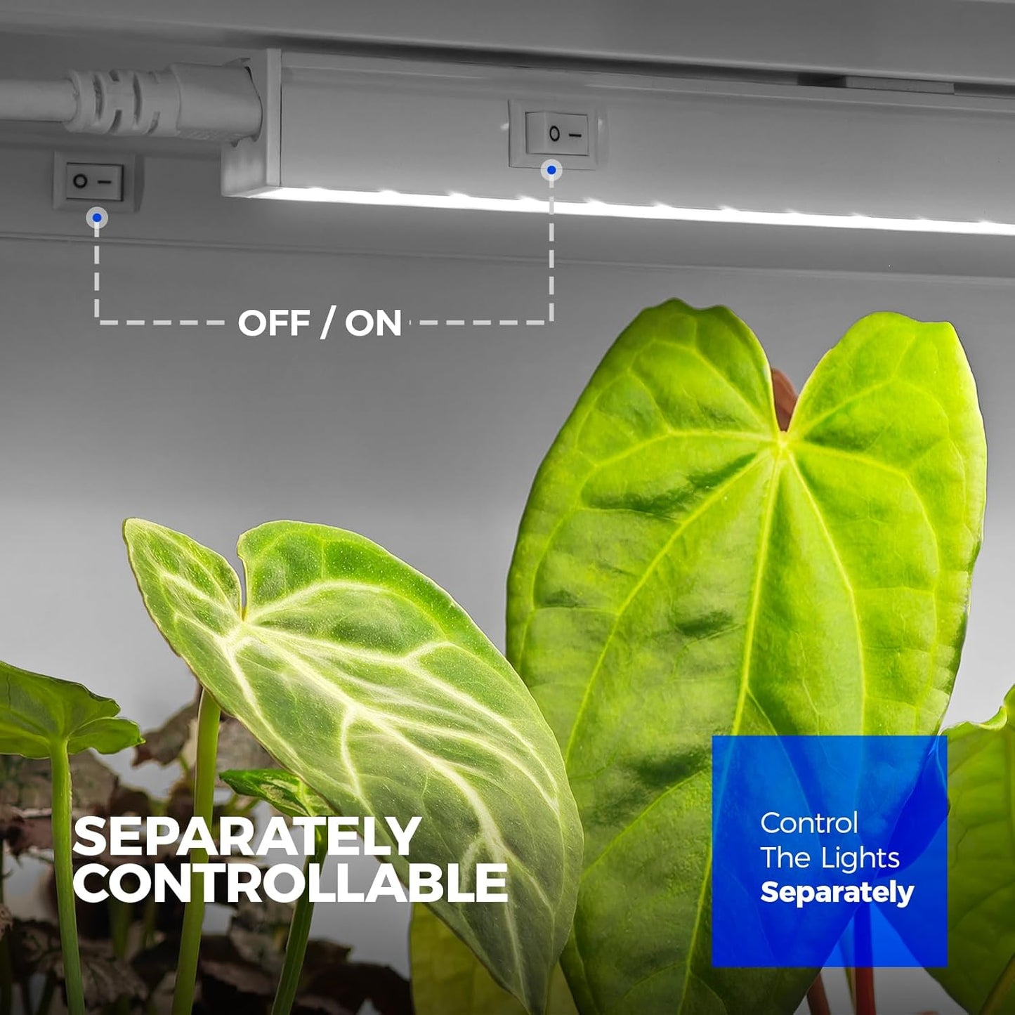 Barrina T5 Grow Lights for Indoor Plants, 4FT 160W (8 X 20W) Full Spectrum Grow Light with Separate Switch, Linkable Grow Lamp, Indoor Plant Lights for Growth, Plug and Play, 5000K, 8 Packs