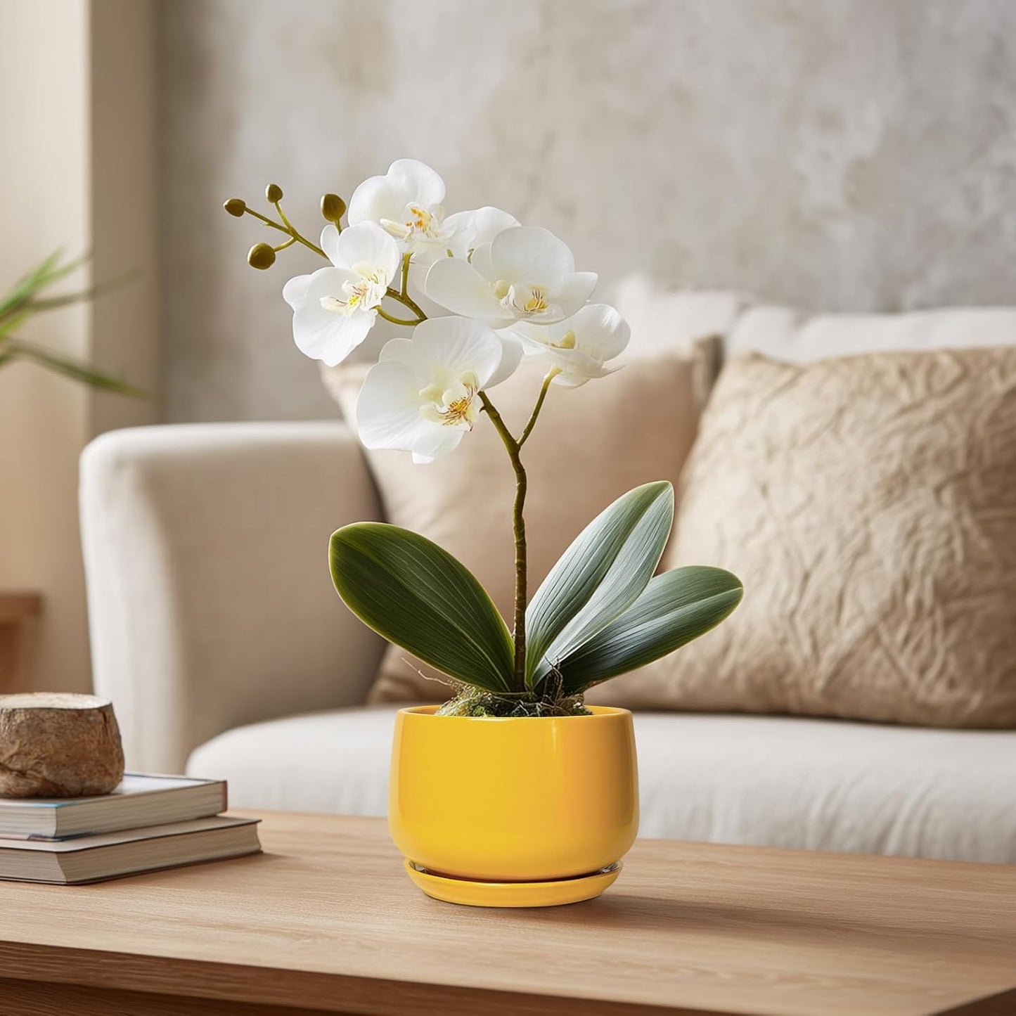 G EPGardening 4 Inch Ceramic Planter - Succulent Pots for Plants Indoor Outdoor, Small Plant Pots with Drainage Hole & Saucer, Round Planter, Modern Flower Pot, Home Decor, Plant Lover Gift, Yellow