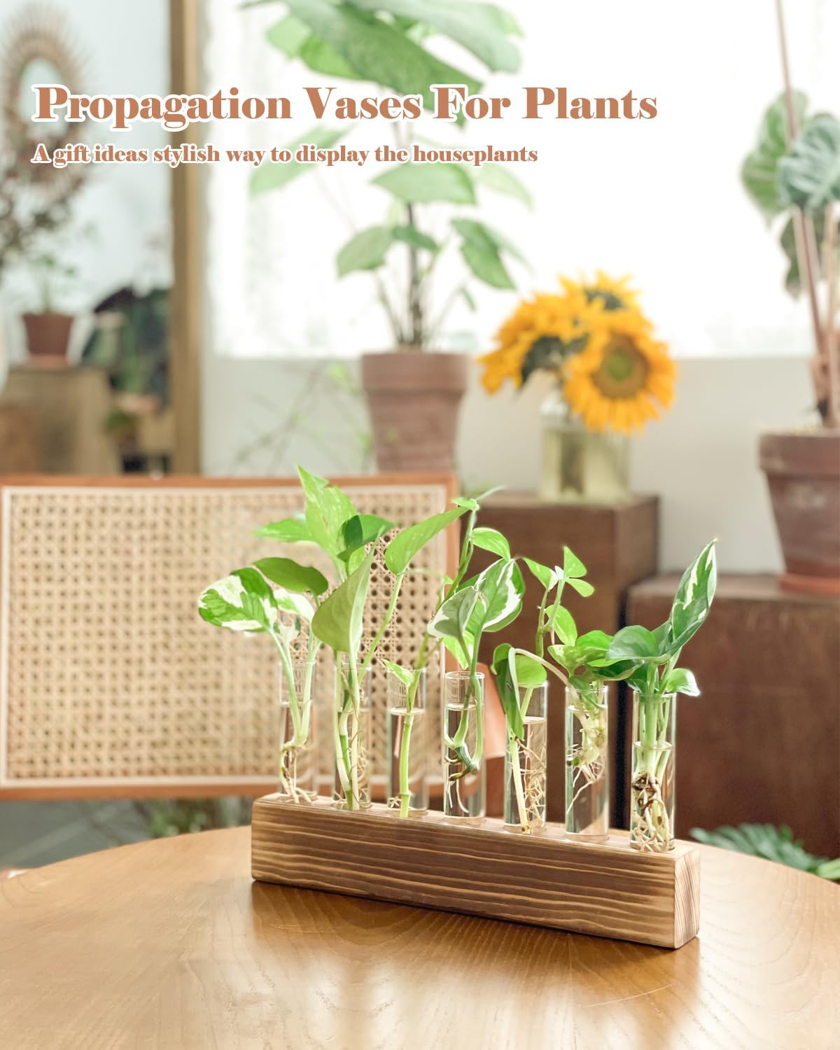 KAXYEW Plant Terrarium with Wooden Stand, Plant Propagation Tubes, 7 Test Tubes Glass Planter for Hydroponic Plant Cuttings Home Office Décor