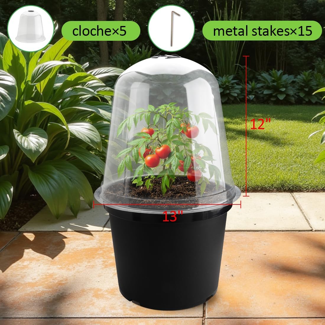13 Inch Humidity Domes Garden Cloches for Plant Protection, Protectors from Animals, Garden Clear Plant Cover with Ventilation Holes 5 Pack