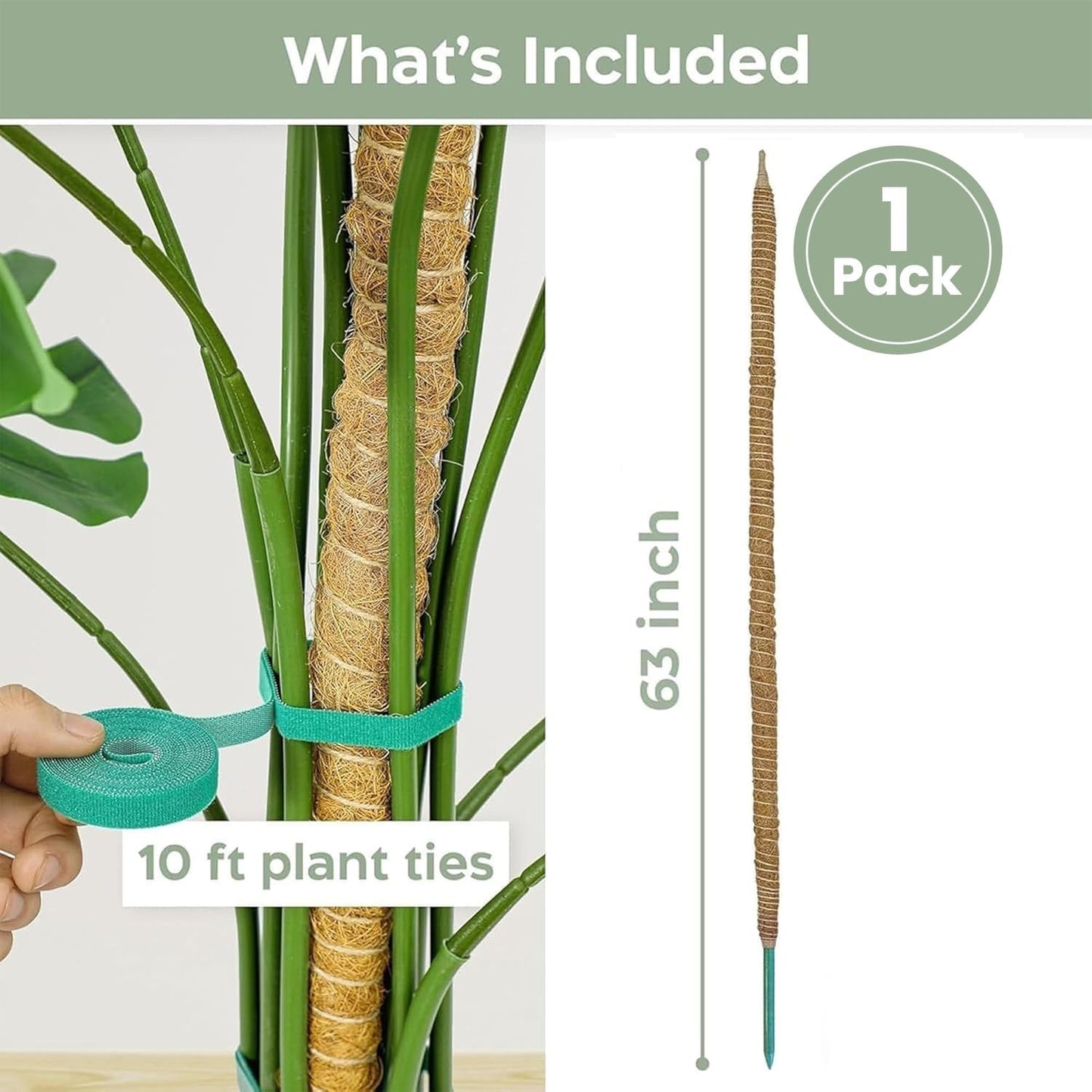 63'' Bendable Moss Pole Monstera Plant Support for Large Climbing Indoor Plants - Stakes for Potted Climbers - Tall Sticks Indoor Trellis for Houseplants - Accessories for Monstera Pot