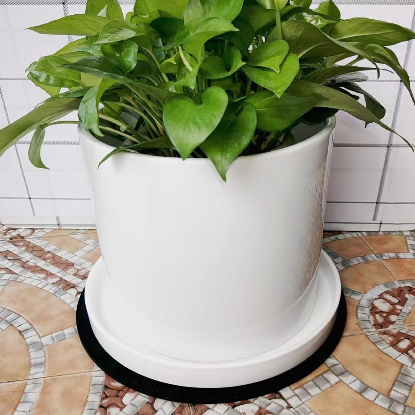 Ceramic Plant Saucer Pot Tray 10 Inch, Planter Saucers 4 5 6 7 8 9 10 11 12 13 Inch for Indoors Outdoor, Durable Sturdy Flower Drainage drip Water Tray for Glazed Pots Base (10.7 Inch-White)