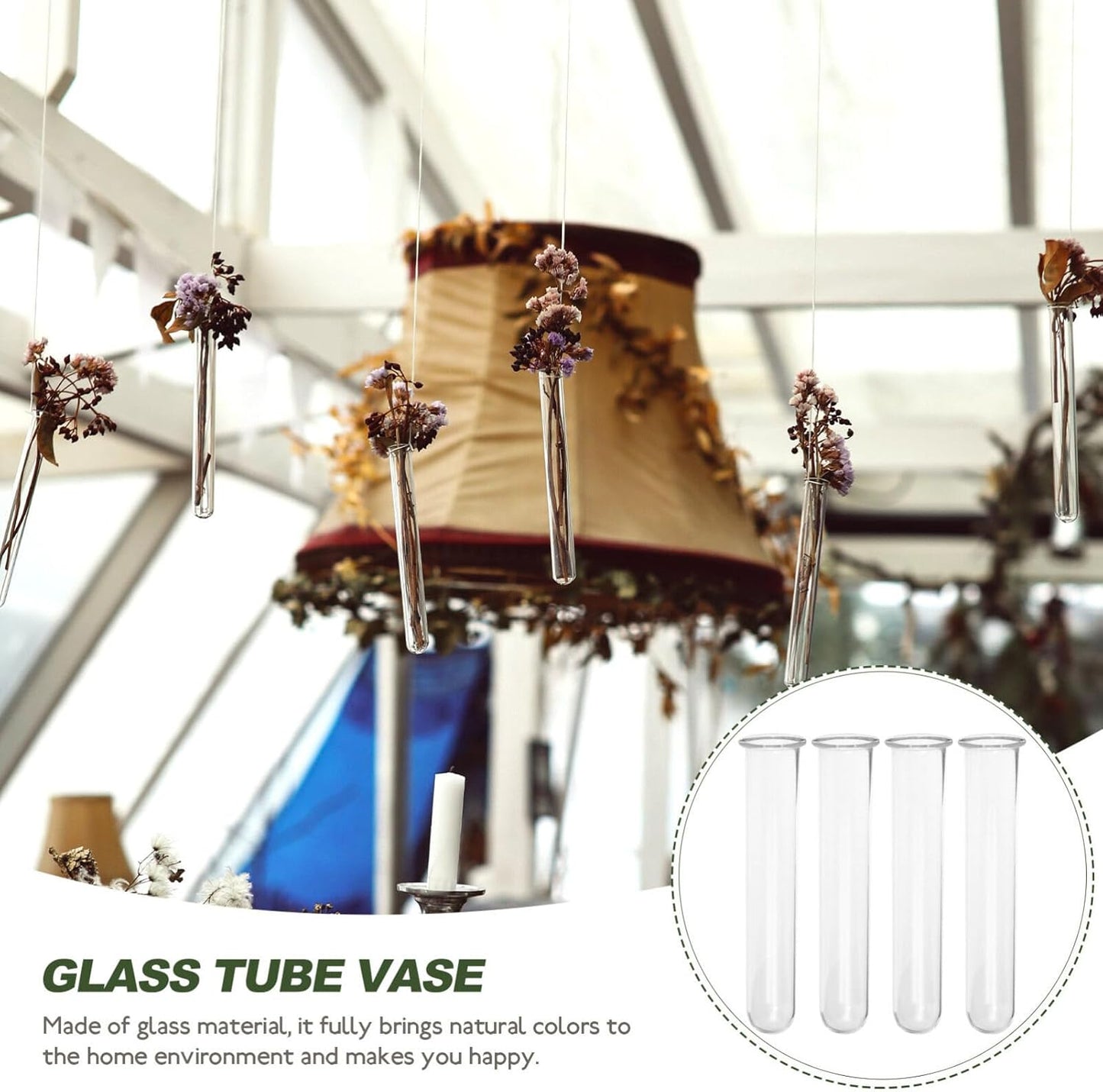 Alipis 4pcs Glass Propagation Stations Accessories Glass Test Tubes Tiered Planters Wall Terrarium for Home Office Plant Hanger Flower Vases Wall Decor Hydroponic Cuttings