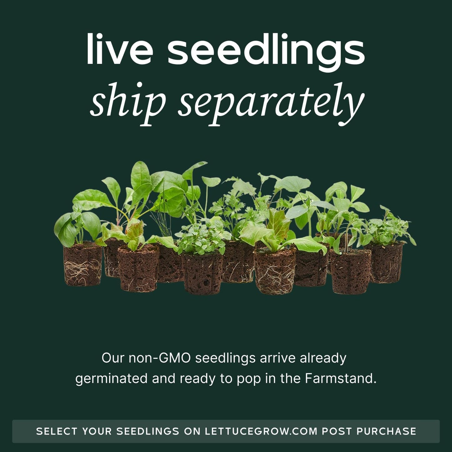 Farmstand Starter Kit with Glow Rings and 30 Seedling Credits | Family Hydroponic Growing System Kit | Vertical Garden Planter Tower | 5ft 5in Tall