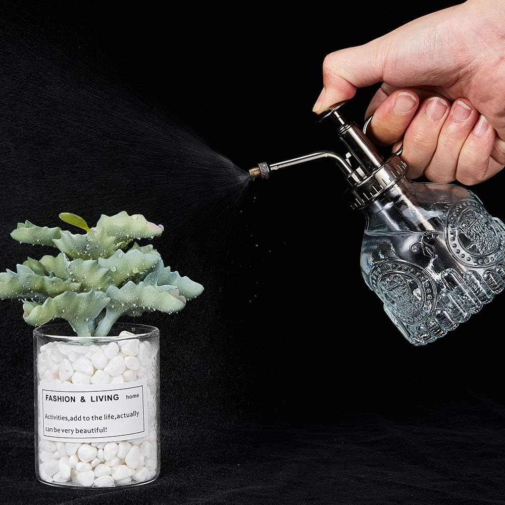 Glass Plant Mister Spray Bottle, 6.5" Tall Vintage Plant Spritzer Watering Can, Succulent Watering Bottle with Top Pump, Small Plant Sprayer Mister for Indoor Outdoor Houseplant - Clear