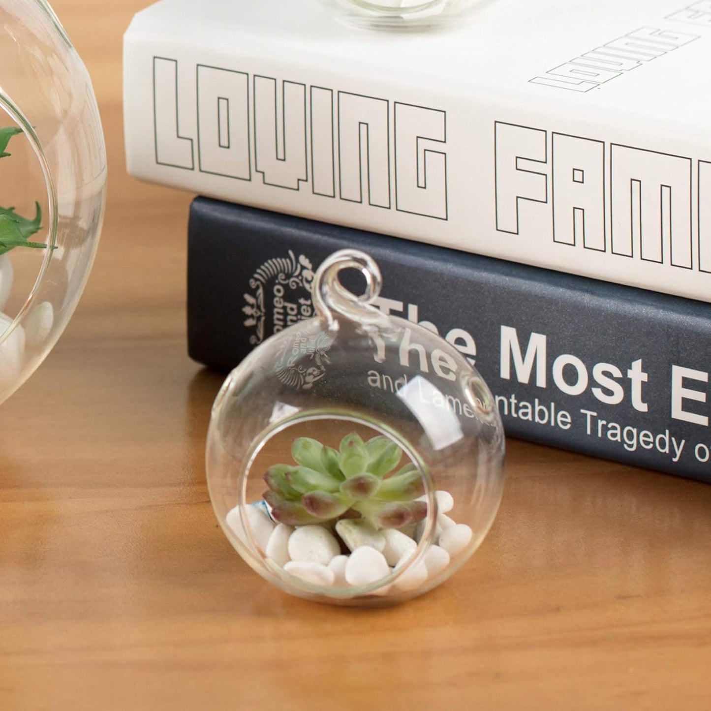 WGV Hanging Terrarium Globe, Width 2.5", Height 3", DIY Air Succulent Planter, Clear Glass Vase Orb with Flat Bottom, Candle Holder for Windowsill Outdoor Garden Decor, 24 Pieces Bulk