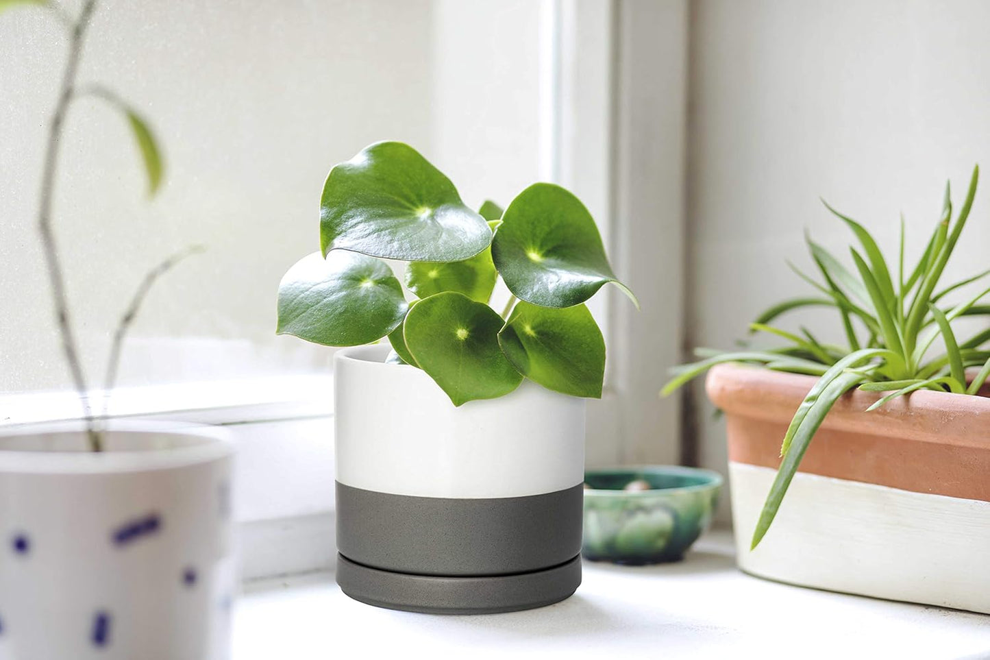 D'vine Dev 4.6 Inch & 6 Inch Ceramic Planter Pots for Plants with Drainage Hole and Saucer, Small Plant Pots Set, White/Speckled Grey, 94-G-S-6