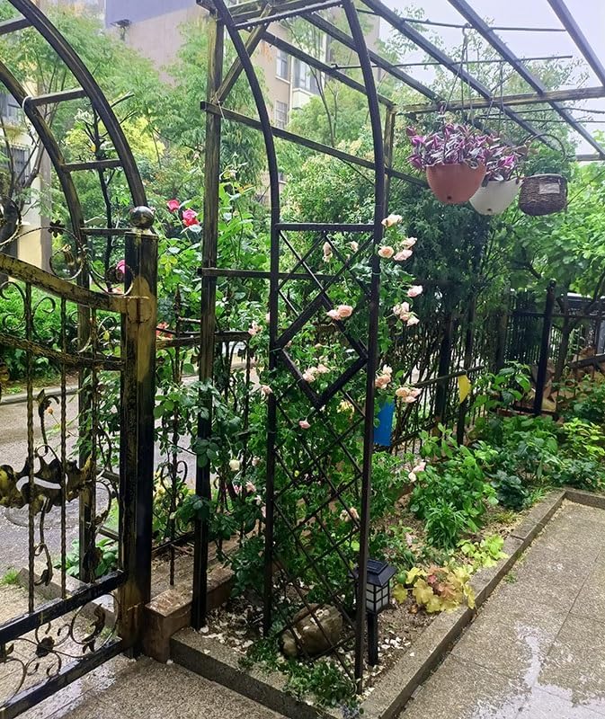 Heavy Duty Steel Garden Arbor & Trellis Arch for Grape Vines Climbing Plants Pergola Outdoor Theme Decoration Archway 180cm 260cm 340cm 140cm (Color : Black, Size : 55" W x 91" H)