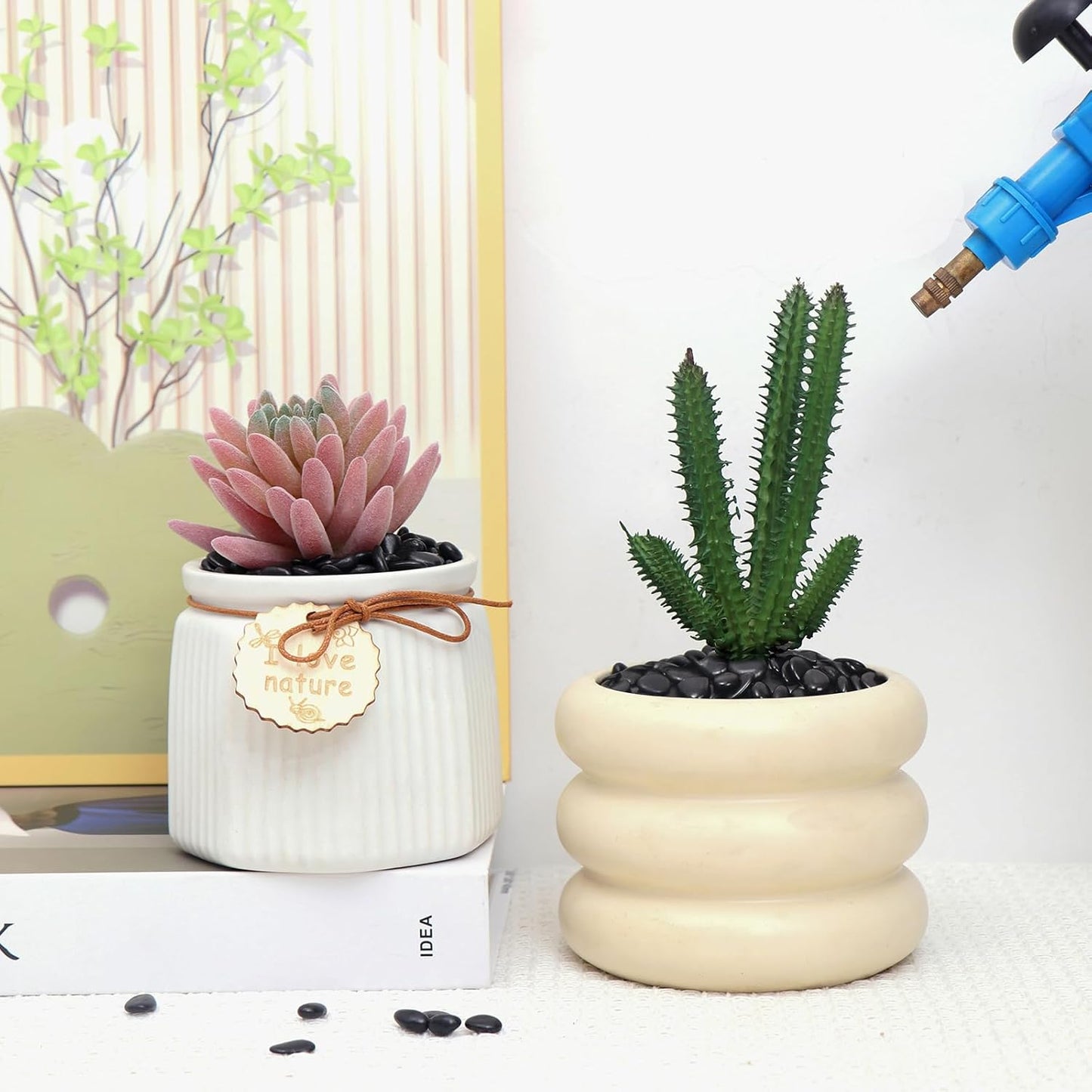 10LB Black Pebbles for Indoor Plants, Vases, Succulent, 3/8 Inch Small Black Rocks for Plants, Polished & Decorative