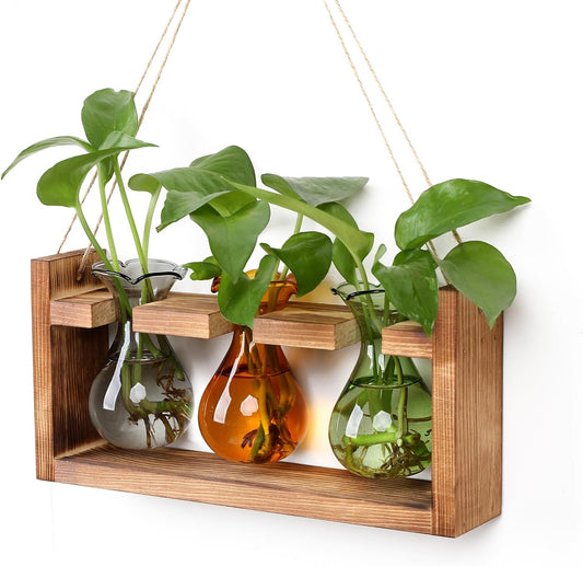 Plant Propagation Station Plant Terrarium Unique Birthday Gifts for Women Plant Lovers Home Office Decor Planter with Wooden Stand - 3 Bulb Glass Vase