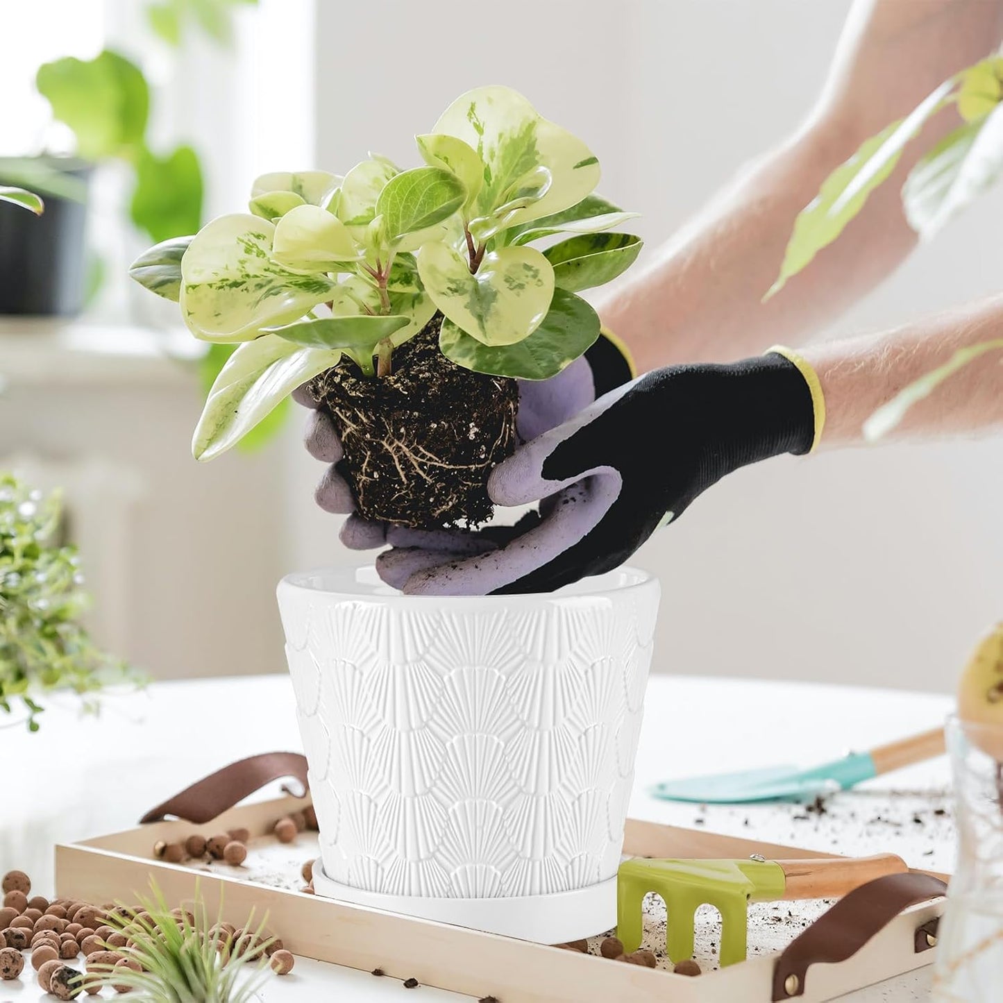 EFISPSS Ceramic Plant Pots, 5+6 Inch Pots for Indoor Plants, Planters with Drainage Holes and Tray, Modern Flower Pots Gardening Home Desktop Office Windowsill Decoration Gift Set of 2 - White