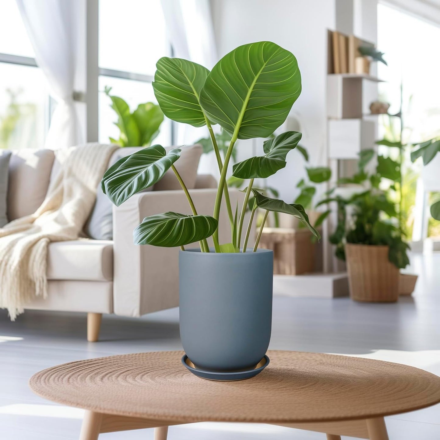 Ceramic Pot for Plants - 8 Inch Plant Pot for Indoor Plants Outdoor Ceramic Planter Large Flower Pot with Drainage Hole and Saucer for Home Garden Decor Gray