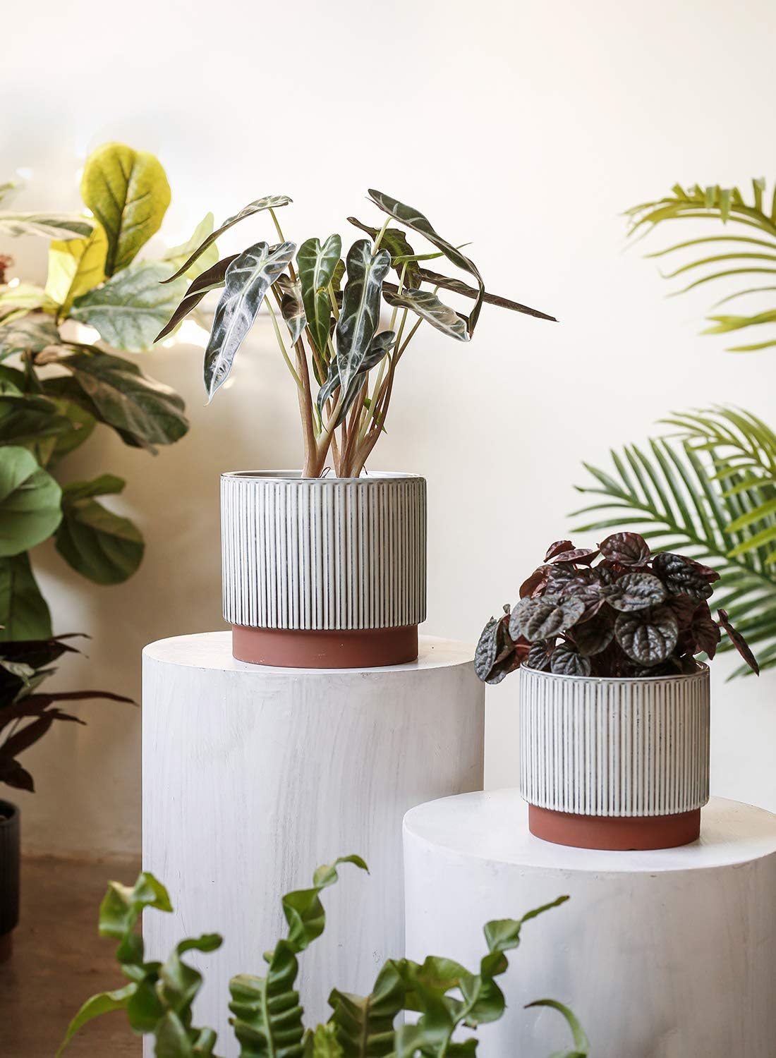 LE TAUCI Ceramic Pots for Plants, 8+6.7+5.5 Inch Plant Pots Indoor, Flower Pot with Drainage Holes, Medium Cylinder Planters for Indoor House Plants, Set of 3, Reactive Glaze White