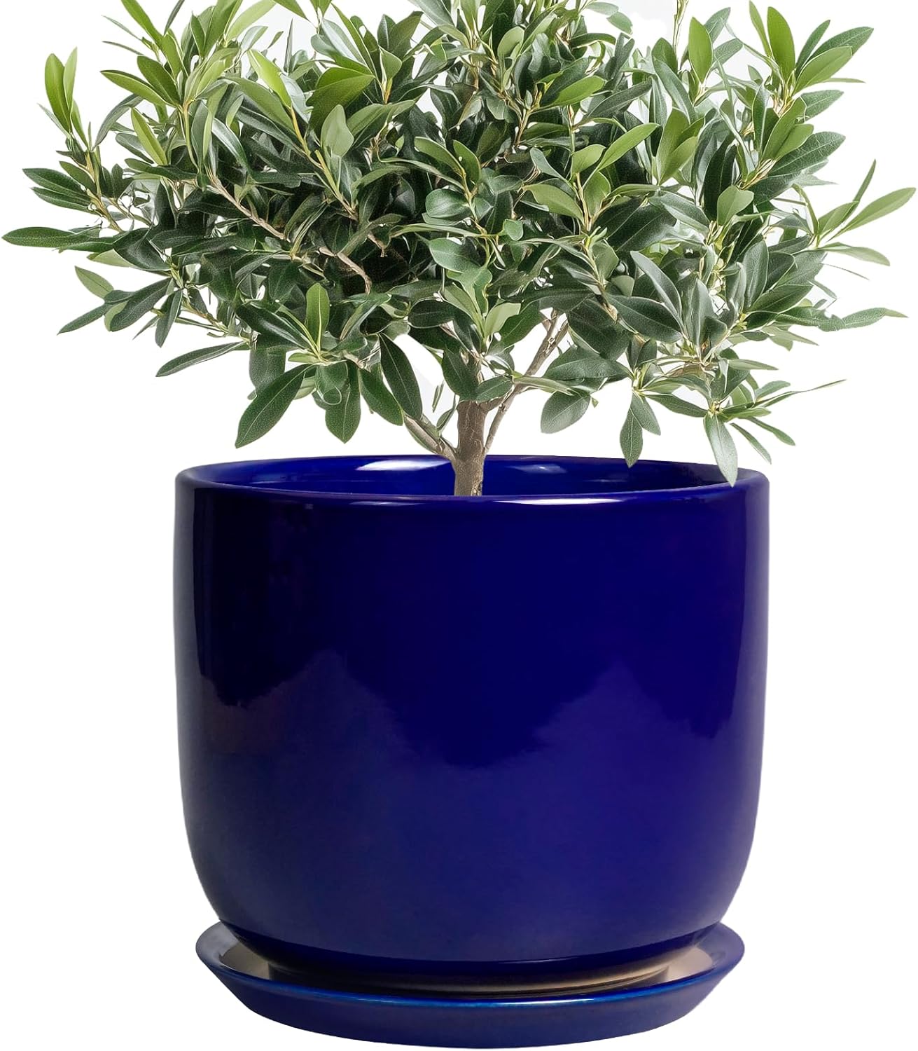 8 Inch Ceramic Plant Pot - Decorative Round Planter for Indoor Plants with Drainage Hole and Saucer, Home House Room Office Garden Decor, Blue