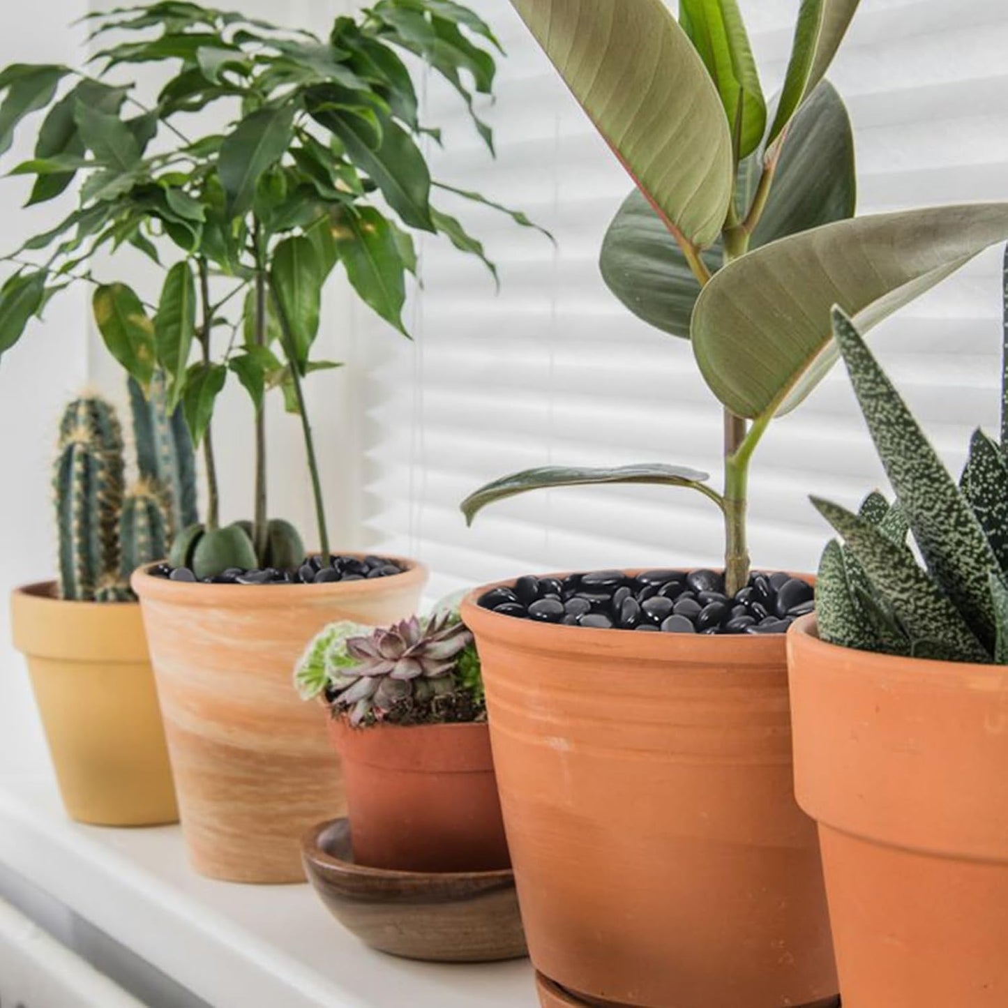 10LB Black Pebbles for Indoor Plants, Vases, Succulent, 3/8 Inch Small Black Rocks for Plants, Polished & Decorative