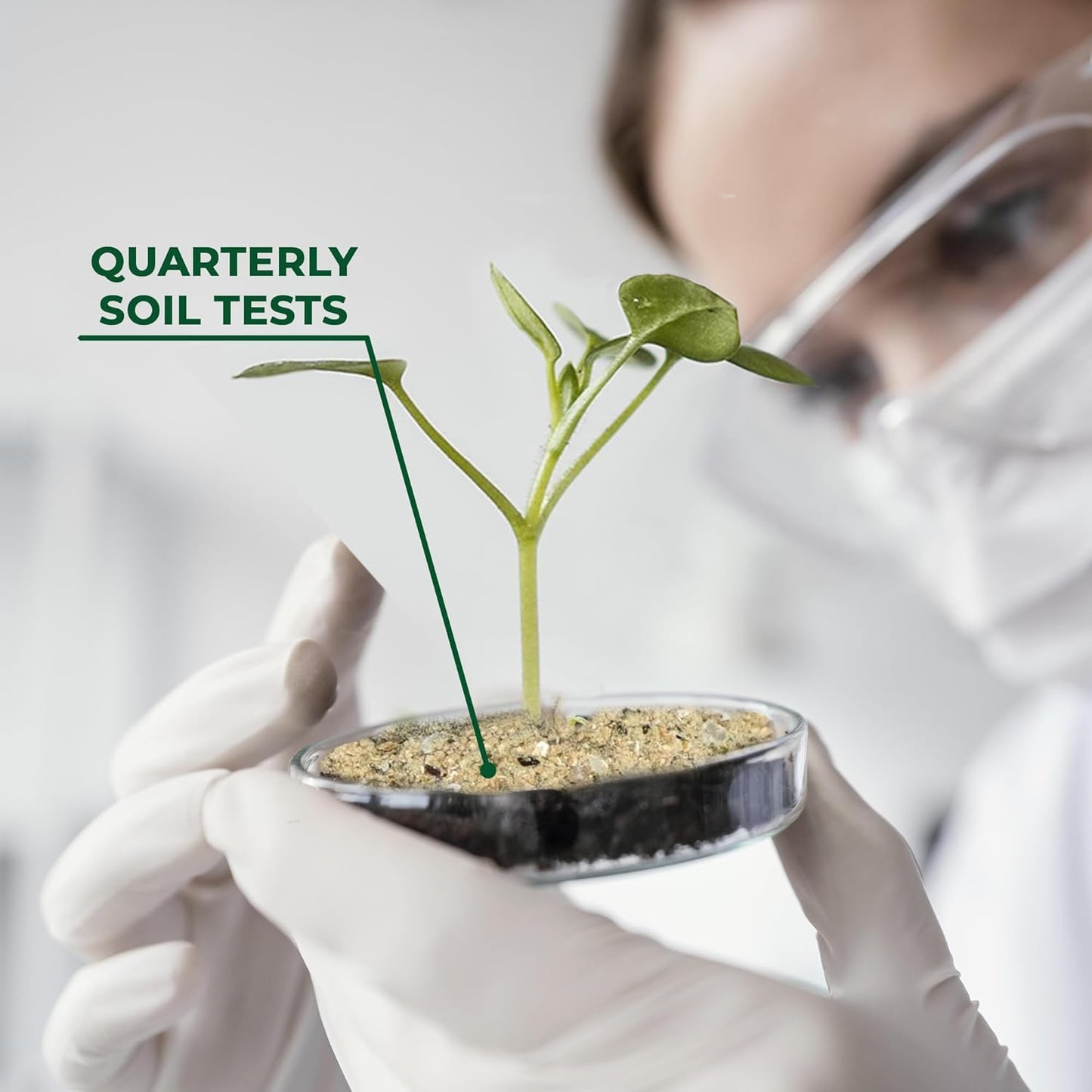 BuildASoil Fertilizer for Vegetable Garden and Organic Plant Food | Hand-Crafted Organic Fertilizer with 15 Premium Ingredients | Ensures Larger Plants and More Fragrant Flowers (3 LB - Small Bag)