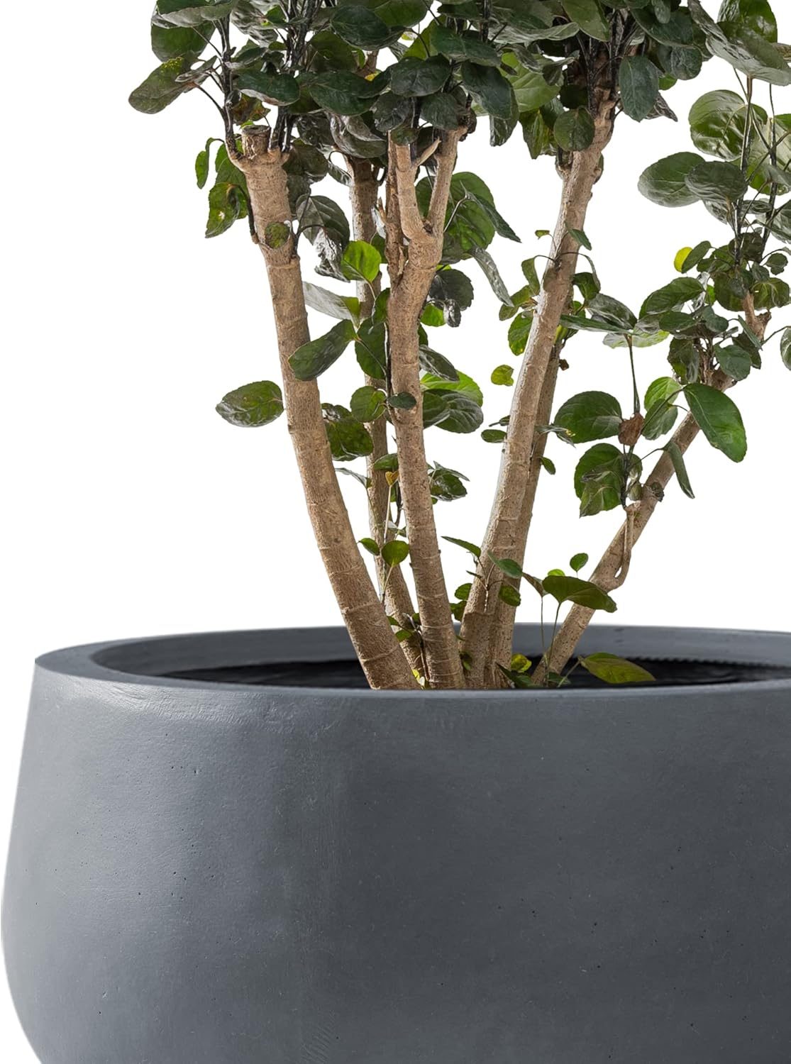 Kante 19.6",15.7",11.8" Dia Round Concrete Planters Set of 3, Outdoor Indoor Garden Plant Pots with Drainage Hole and Rubber Plug, Modern Curvaceous Design, Charcoal