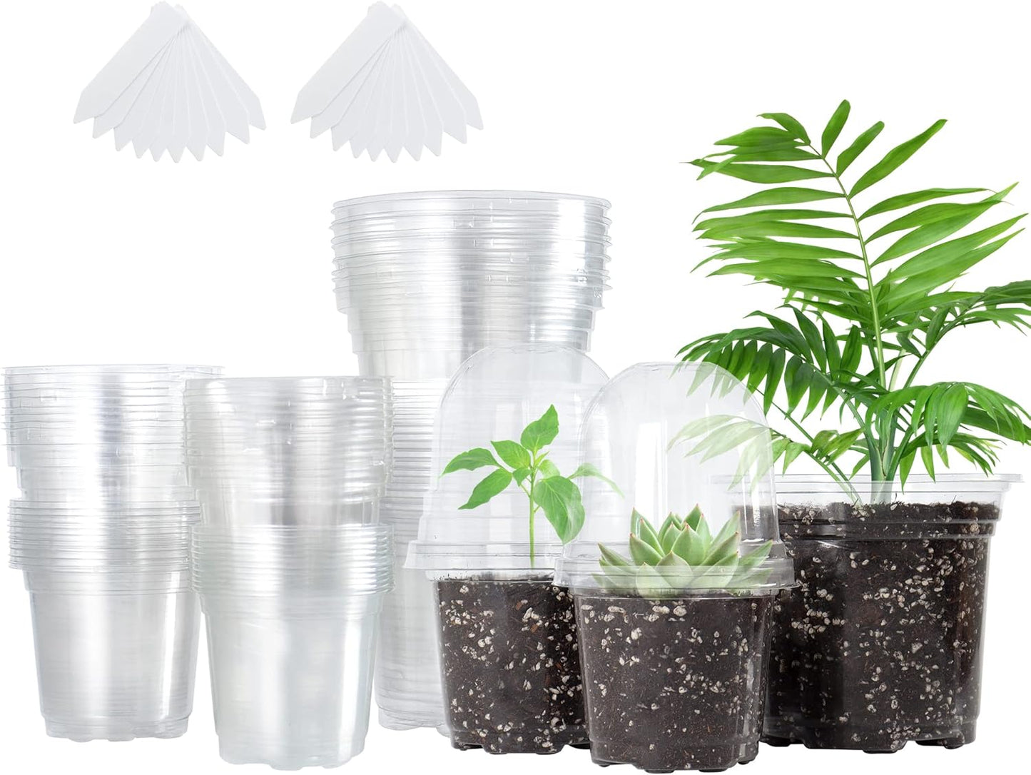 Bonviee 36 Packs 3.5/4/5 Inch Clear Nursery Pots with Humidity Domes, Variety Sizes Seed Starting Pots with Drainage Holes, Transparent Garden Containers for Succulents, Flowers and Cactus-Clear