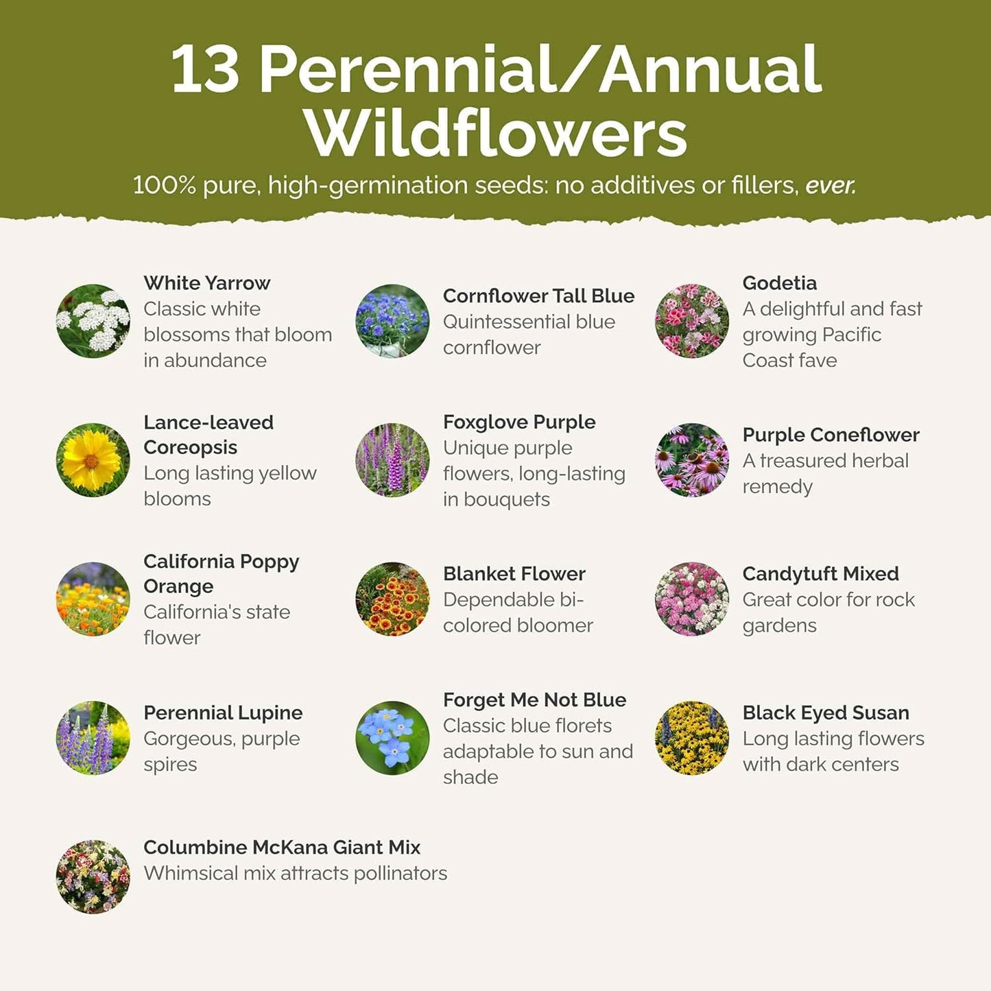 Eden Brothers Deer Resistant Wildflower Mixed Seeds for Planting, 25 lb, 12,000,000+ Seeds with Foxglove, Forget Me Not | Attracts Pollinators, Plant in Spring or Fall, Zones 3, 4, 5, 6, 7, 8, 9, 10