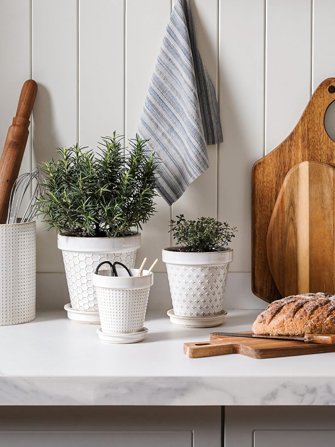 LE TAUCI Ceramic Plant Pots, 6 Inch Flower Pot with Drainage Hole & Saucer, Embossed Planter Pots for Indoor Plant Succulent, Orchid, Cactus, Home Decor - Set of 4, Arctic White