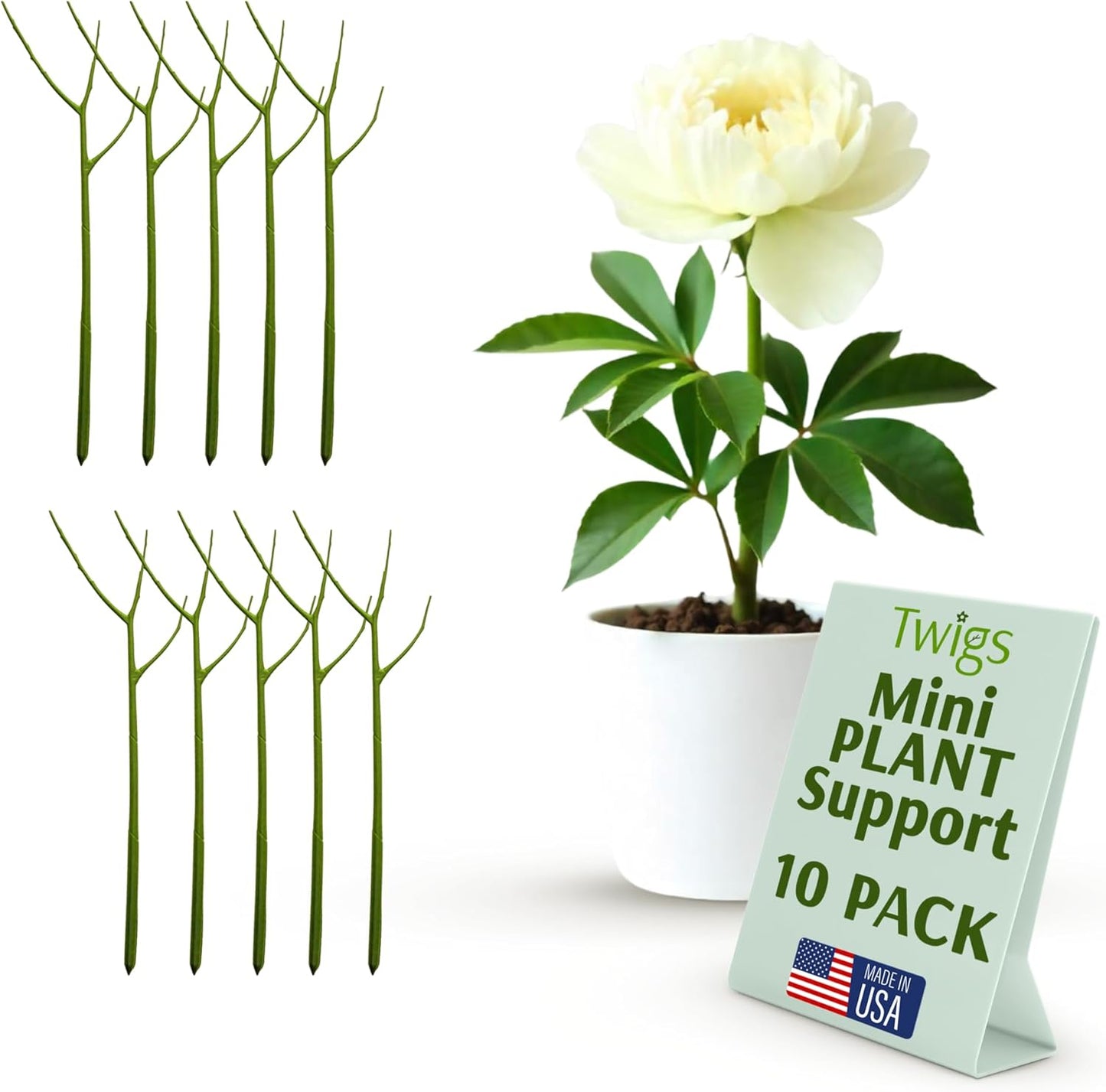 Twigs - Plant Support Stakes for Indoor, Outdoor & Climbing Plants, Gardening Supplies, Garden Accessories, Trellis & Ring Alternative, Made in USA - Peony (Light Green), 10 Pack, 12" L, Mini Twigs