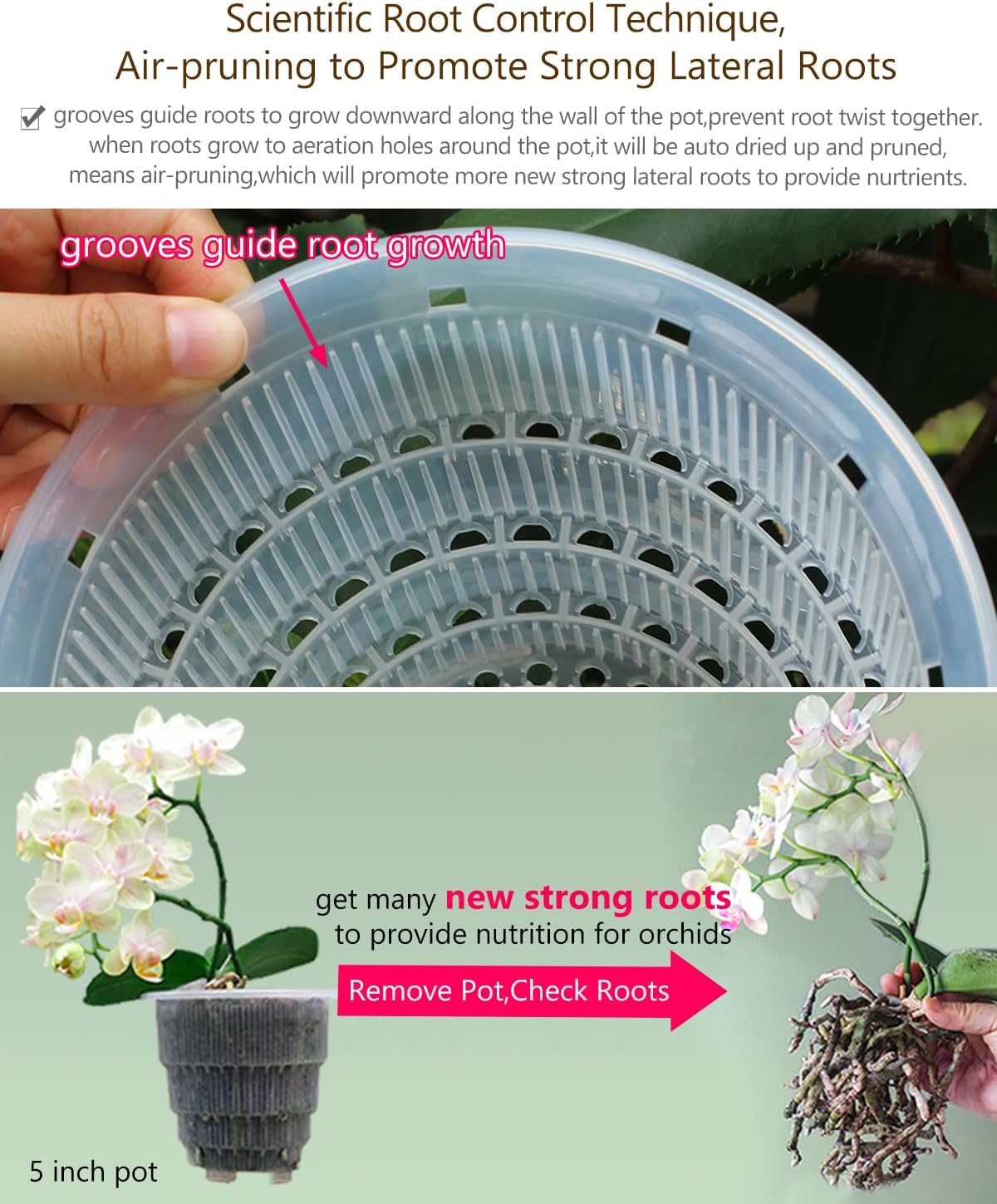 6 inch Orchid Pots with Holes for Repotting with Excellent Airflow, Set of 2, Double Layer Plastic Imitate Ceramic Orchid Planter, Clear Orchid Pot Match Decorative Orchid Container