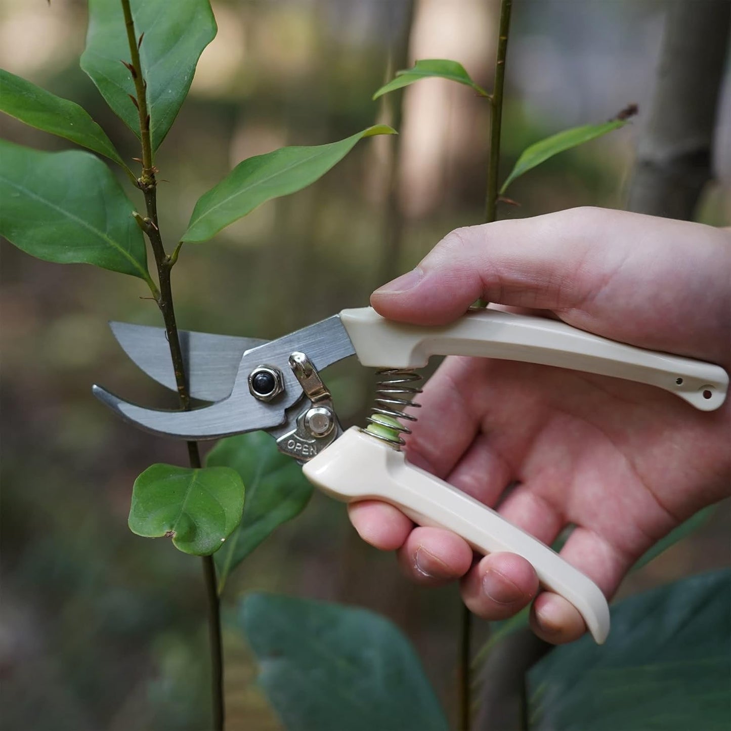 BUGUI Pruning Shears Garden Shears - Premium Alloy Steel Bypass Pruner, Precision-ground Blades, Heavy Duty Gardening Tools, 7" (H101)