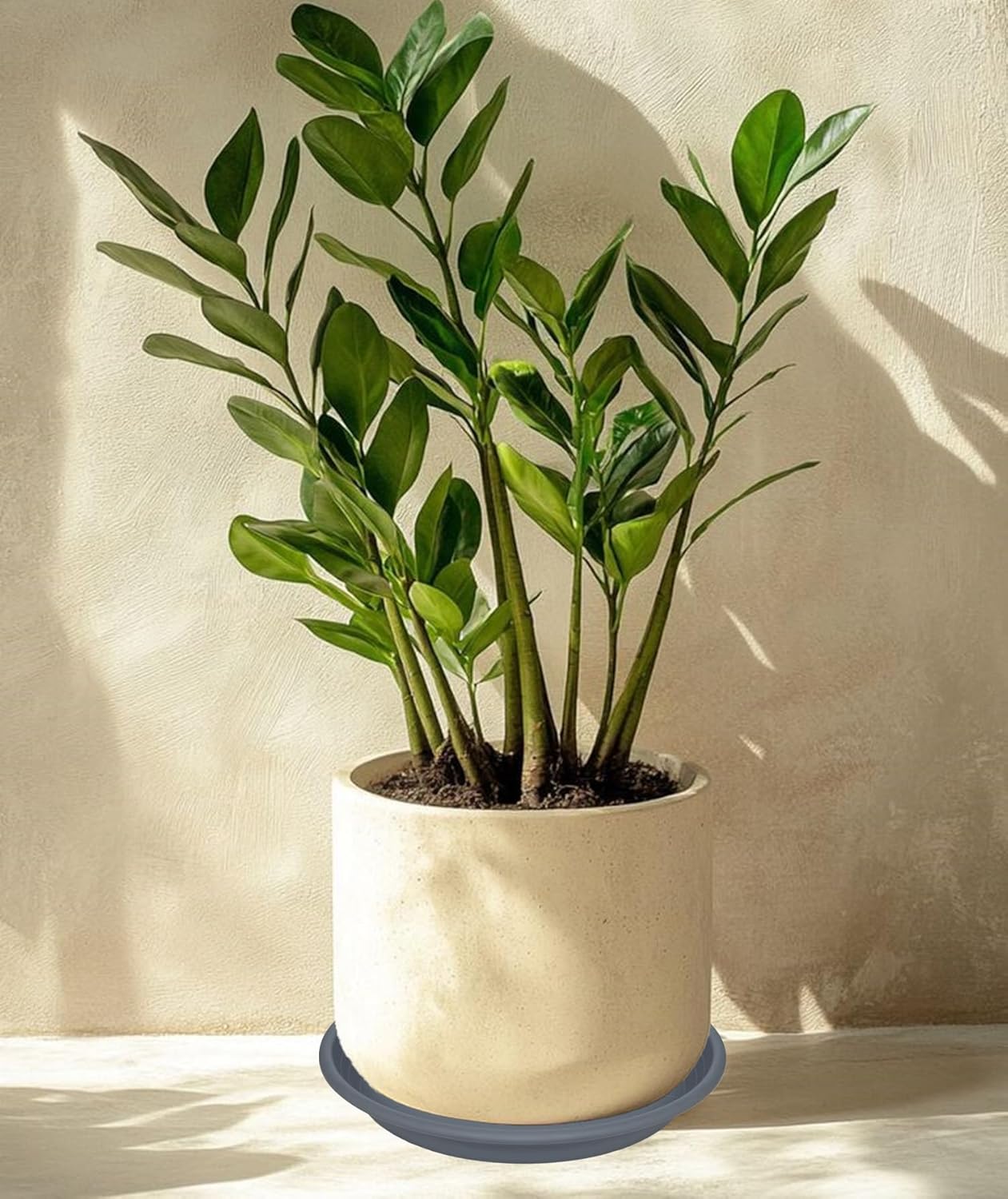 2 Pack of 19 inch Plant Saucer, Large Plant Tray, Heavy Sturdy Plant Drainage Tray for Indoors, Bird Bath Bowls, Sturdy 18 inch Plastic Pot Tray for Planter (Gray)