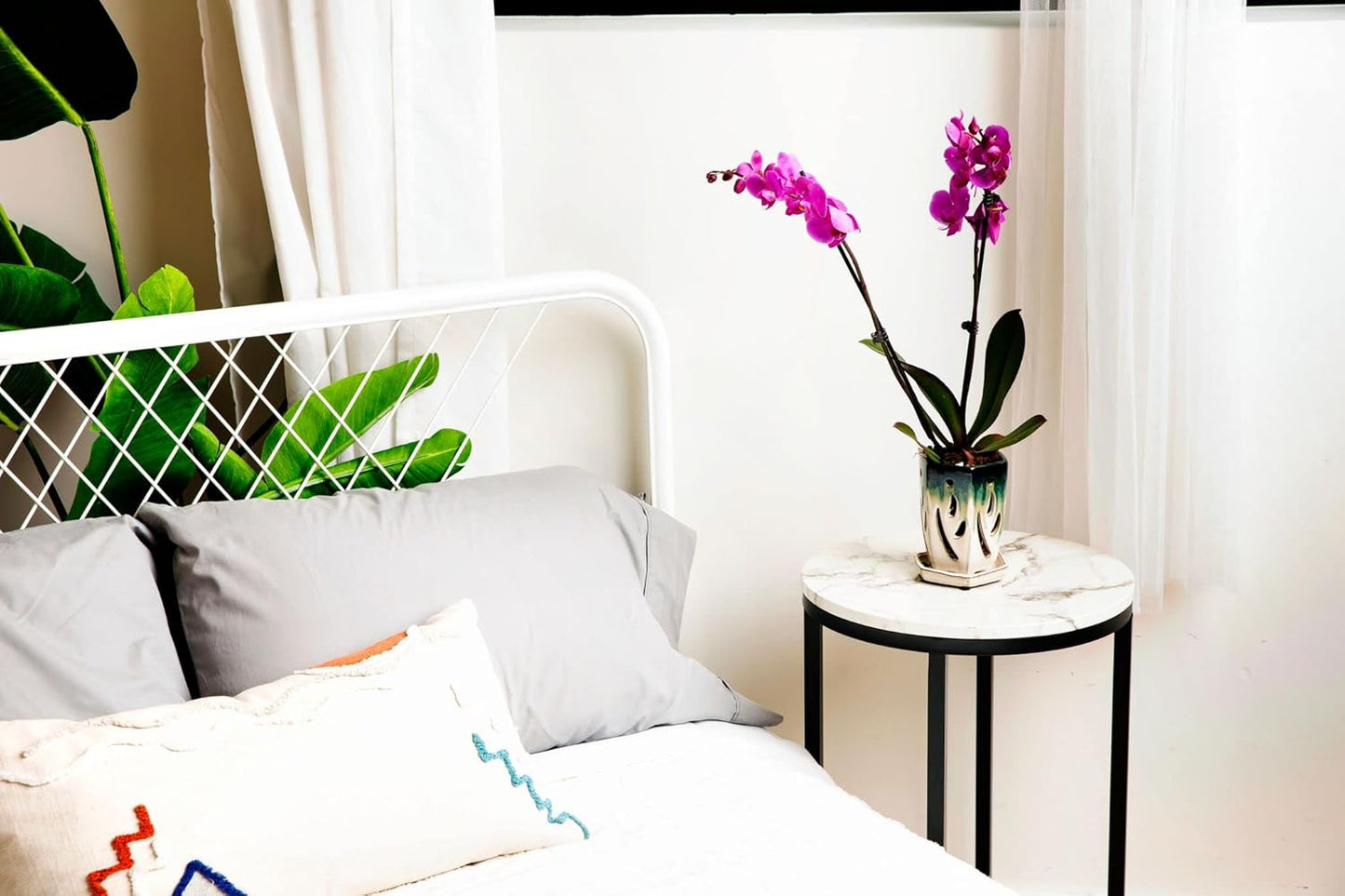 rePotme 4 x 6 inch Ceramic Orchid Pot (Evergreen Emerald Over Cream) - Hexagon Orchid Pot with Holes