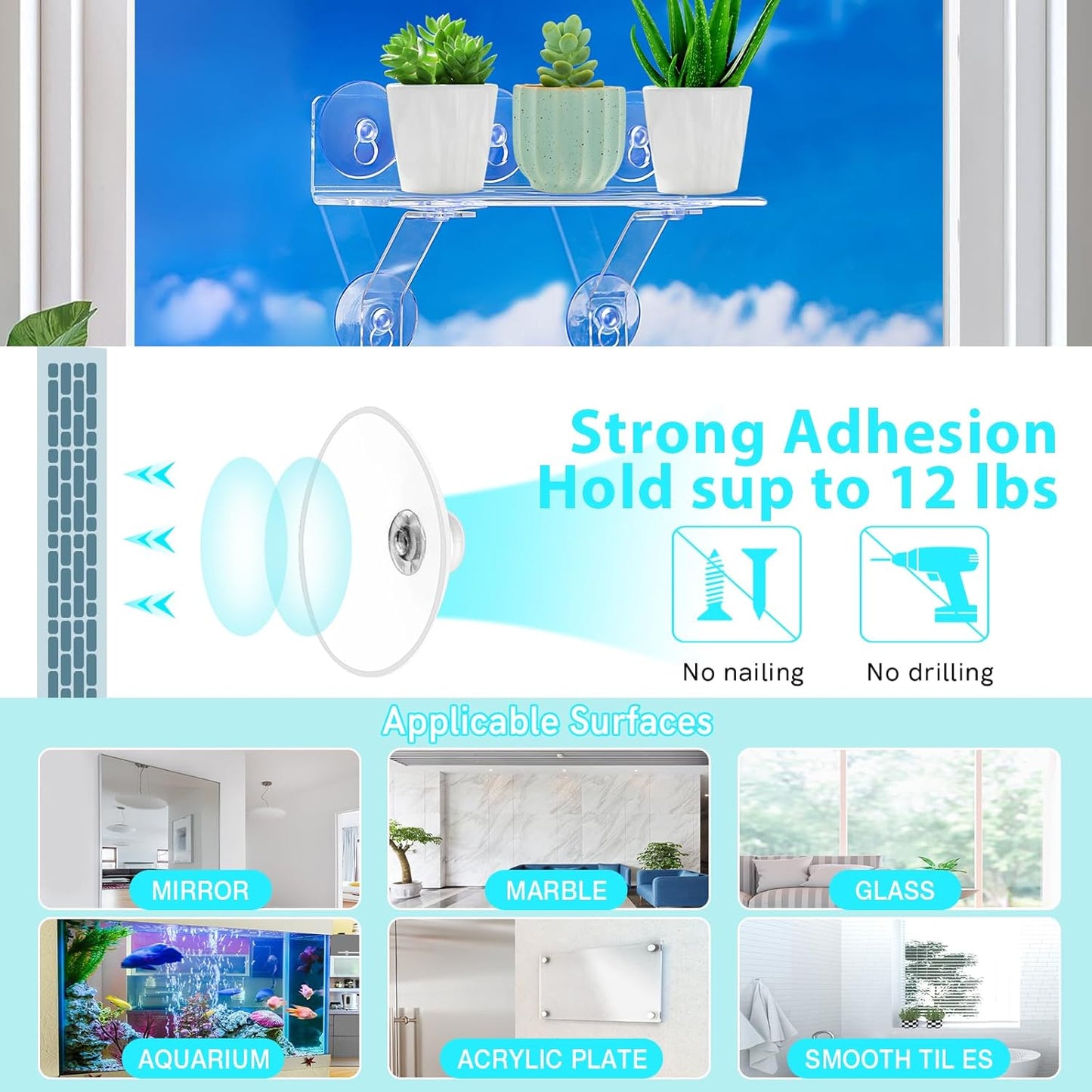 12-Inch Window Boxes Sill Planter Suction Cup Holder, 5-Inch Extra Wide Window Sill Extender, with Load Bearing Bracket for Herbs, Succulents, Clear Acrylic Indoor Plant Stand