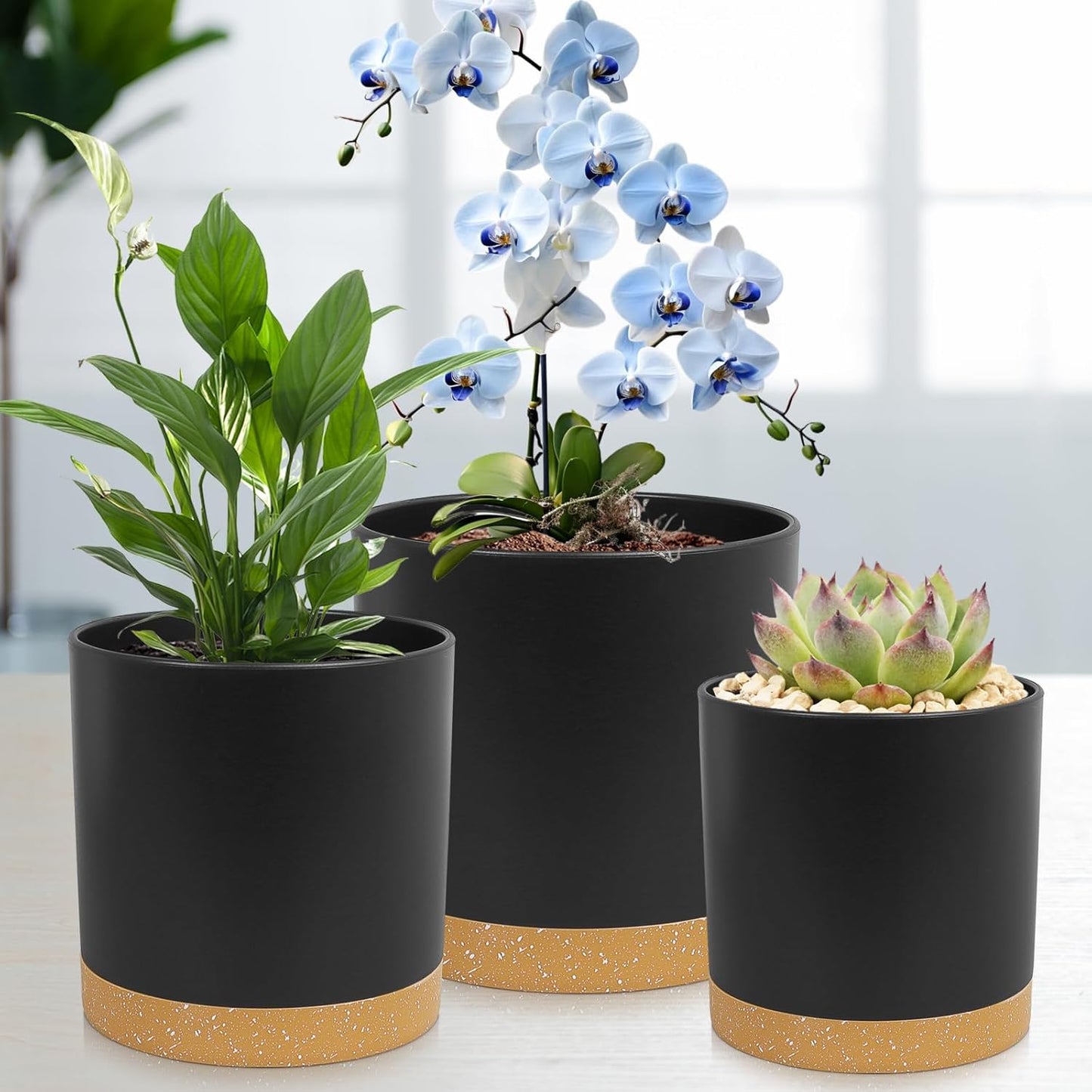3 Pack 6/5/4 inch Cylindrical Flower Pots, Modern Small Round Plastic Plant Pots with Drainage Holes & Saucers, Clean and Refined Planter Pots for Outdoor, Indoor & Office Decor (Black Brown)