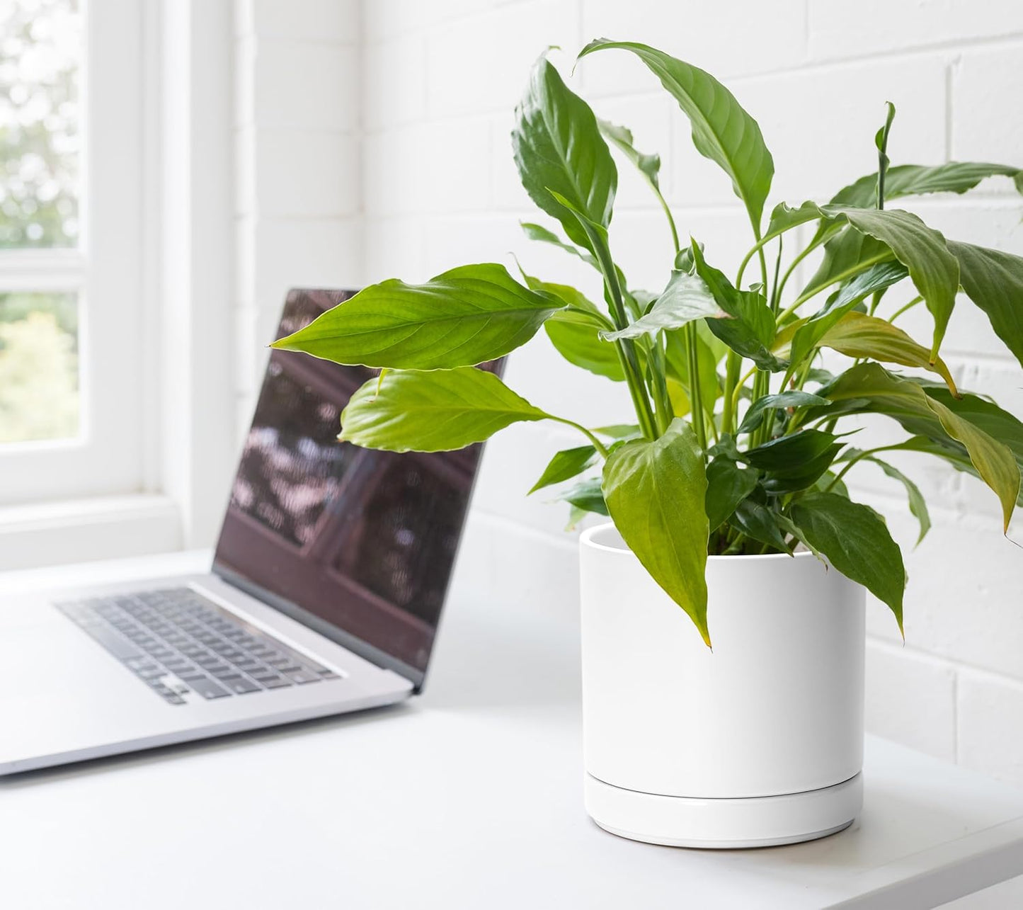 D'vine Dev 4.7 Inch & 6 Inch Ceramic Planter Pots for Plants with Drainage Hole and Saucer, Small Plant Pots Set, White, 94-G-S-1