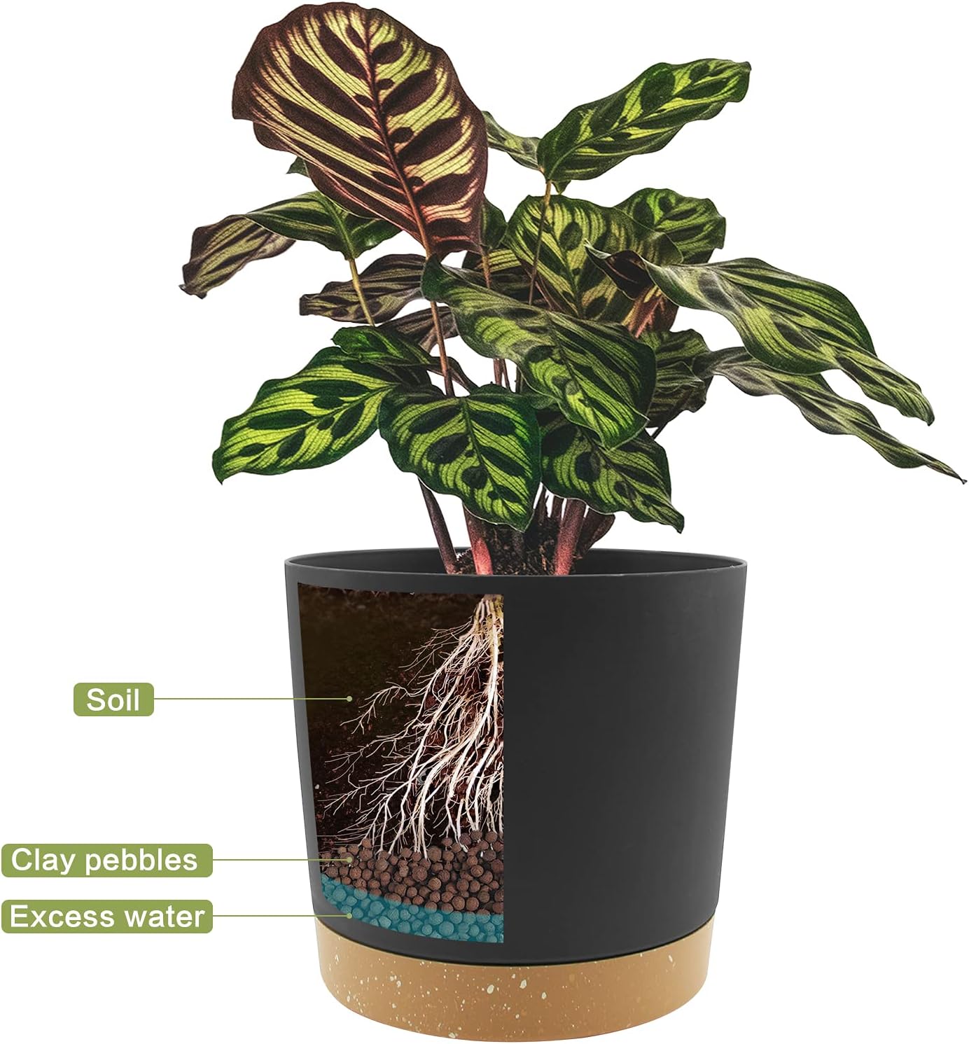 QCQHDU 8 inch Plant Pot, 2 Pack Planters for Indoor Plants with Drainage Holes & Saucer, Outdoor Flower Pots Home Garden Modern Decor