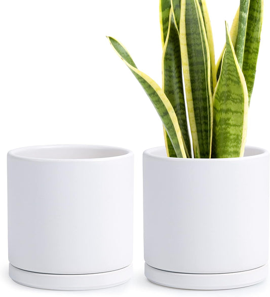 D'vine Dev Set of 2 Plants Pots, 8 Inch Ceramic Planter Pot for Plants with Drainage Hole and Saucer, White, 94-V-D-1