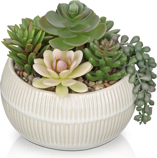 DILATATA Artificial Succulent Plants in Pot 5.5 Inch Fake Succulents Arrangement Potted Plant in White Ceramic Planter Bowl for Home Office Desk Shelf Living Room Bedroom Bathroom Decor