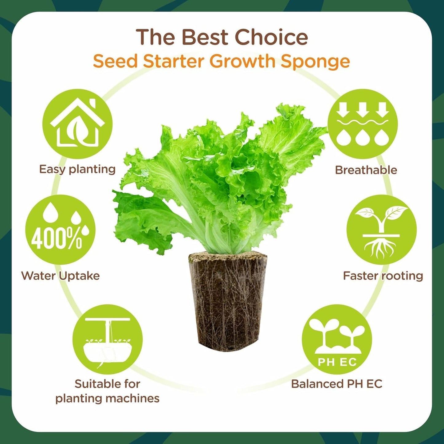 Root Riot, Eco-Friendly Biodegradable Material, Seed Starter Pod, Starter Plugs, 80-Pack, Peat Coconut Coir, Fits Standard Clone Trays, Indoor Outdoor Gardening, Brown