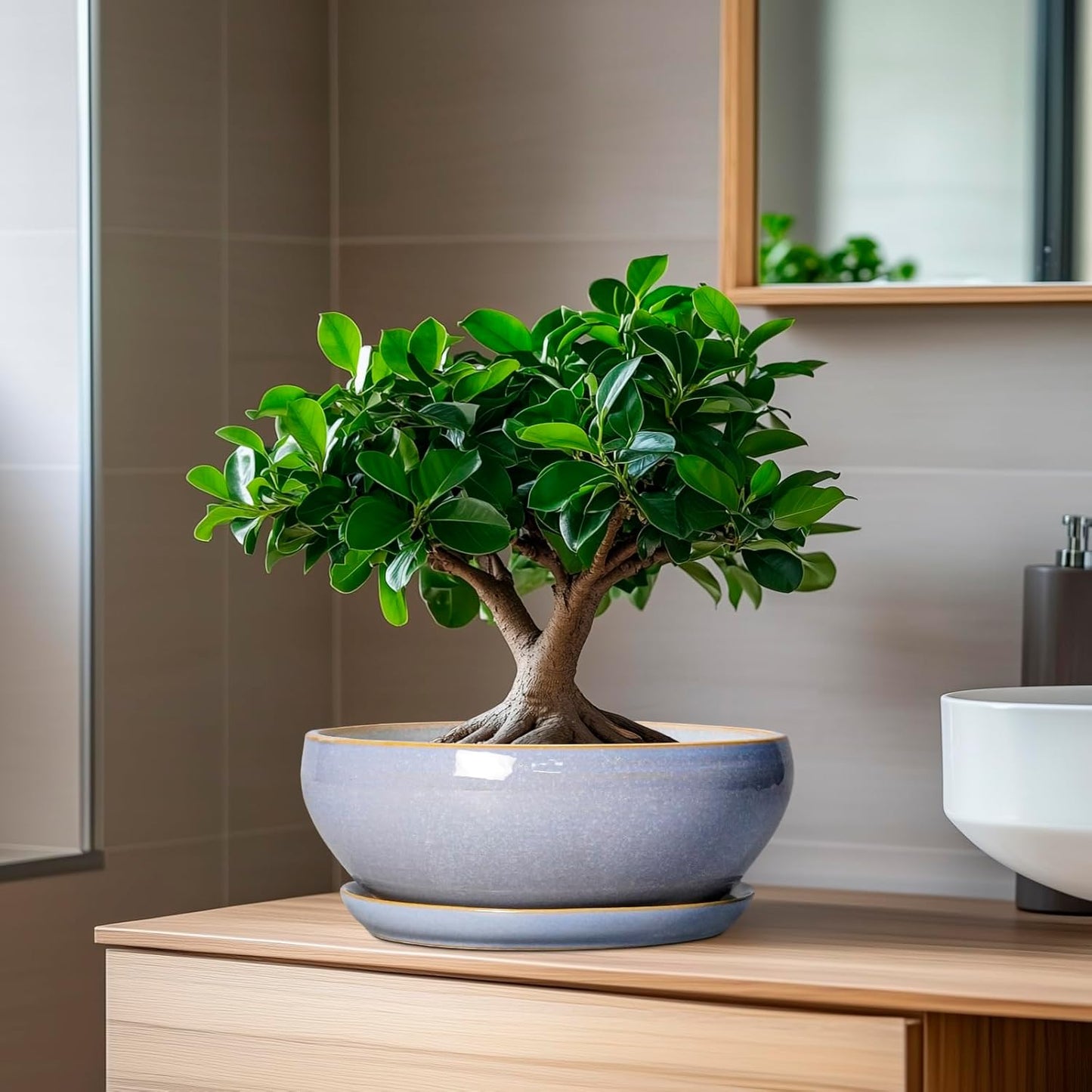 SQOWL Succulent Planters - 8 Inch Ceramic Bonsai Pots with Drainage Hole and Plant Saucer, Shallow Round Planter for Indoor Plants Flower, Bowl Planter Outdoor, Office Decor, House Warming Gift, Blue