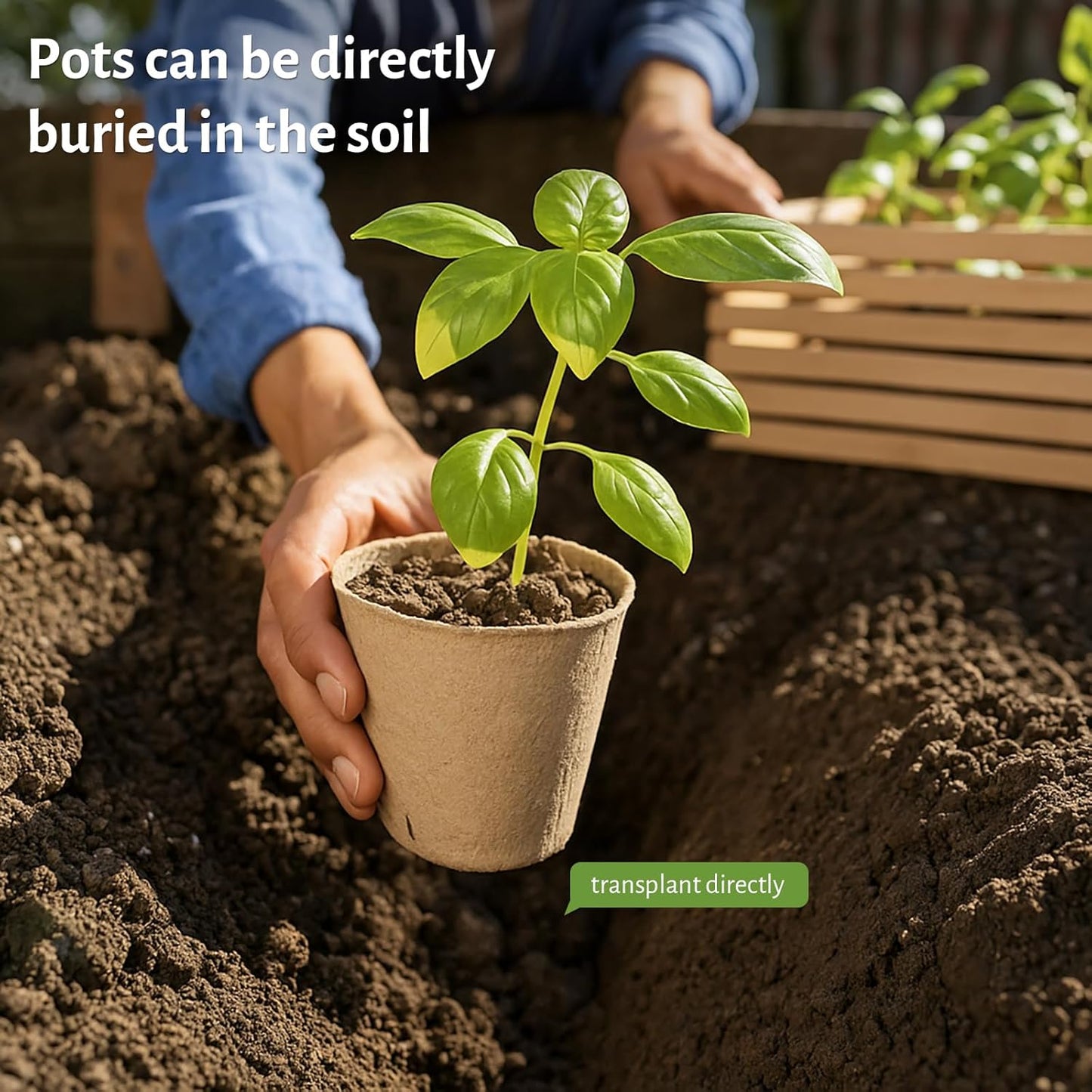 120 Packs 3.15 Inch + 4 Inch Peat Pots, Biodegradable Pots for Seedlings with Drainage Holes, Herb Seed Starter