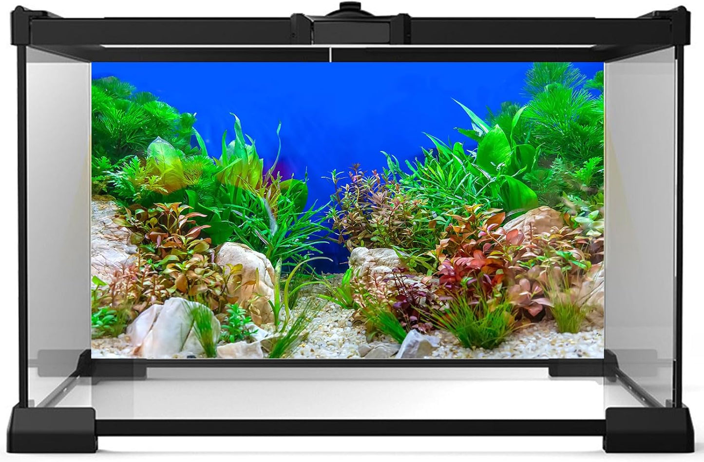 Aquarium Background Green Aquatic Plant Stone River Bed and Lake Fish Tank Background Decor Underwater Grass Leaves with Pebble Aquarium Backdrop Perfect Fish Tank Decors Vinyl 60x24in