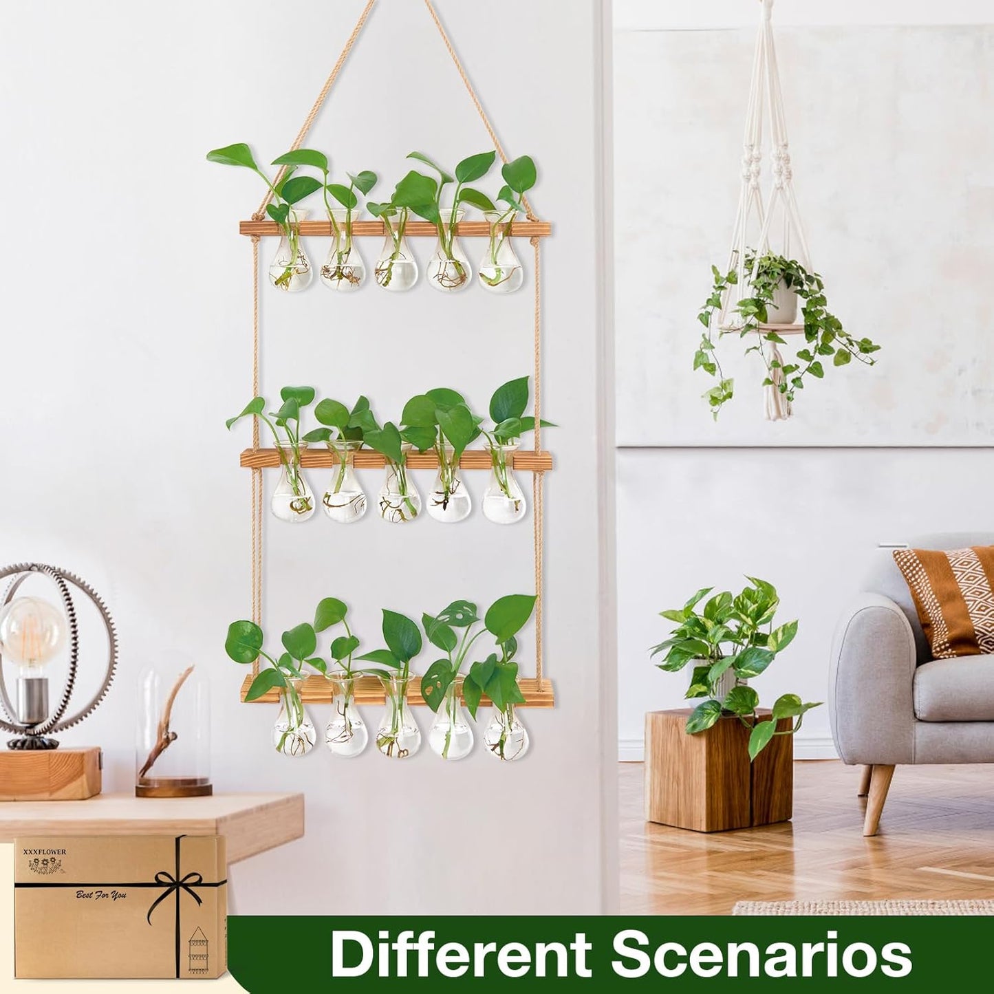 XXXFLOWER Wall Hanging Propagation Station with Wooden Stand 5 Bulb Vase 3 Tiered Planters Wall Terrarium for Home Office Plant Hanger Flower Vases Wall Decor