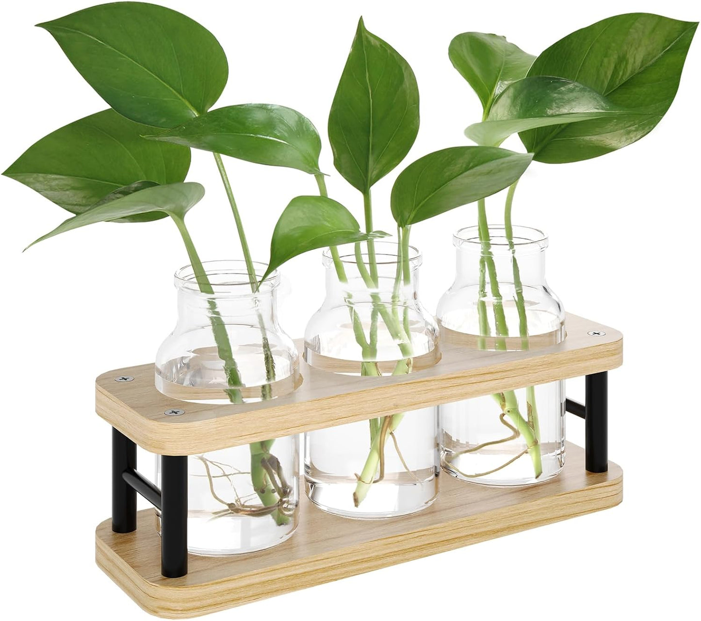 THYGIFTREE Plant Propagation Station with Wooden Stand, Propagation Vases Glass Planters for Indoor Plants Hydroponic Propagating Jars Home Office Decor, Plant Lover Gifts